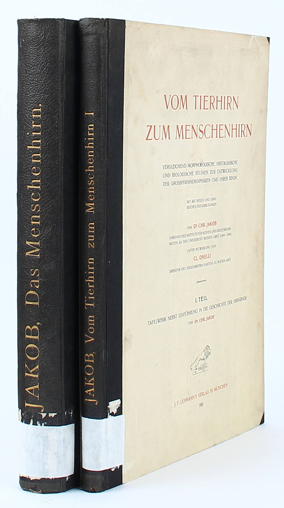 Jakob, Menschenhirn / 2 Bde.