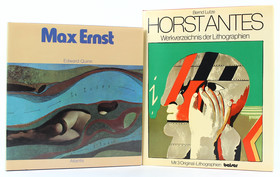 Quinn, Max Ernst/Lutze, Antes / 2 Bde.