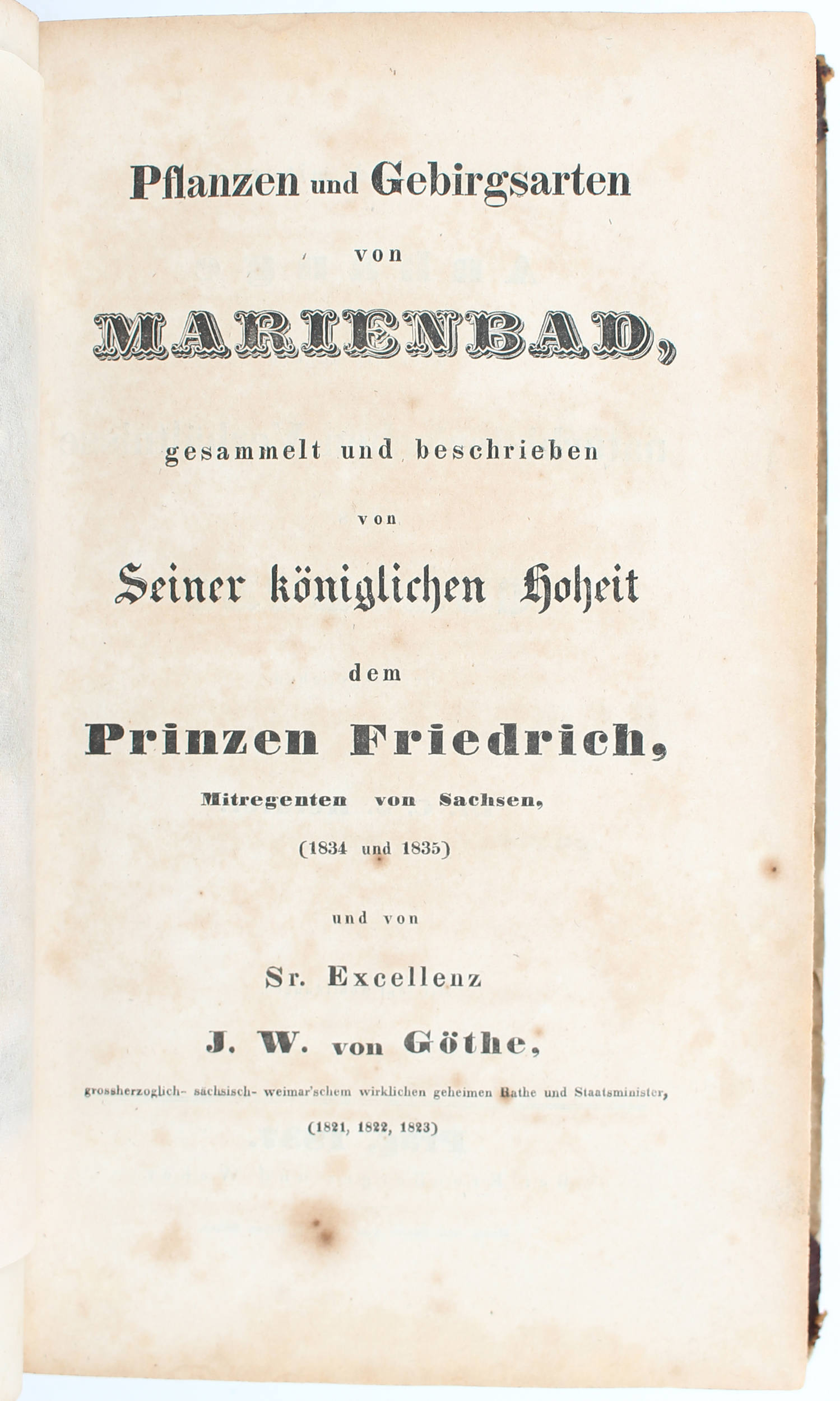 Friedrich von Sachsen/Goethe, Marienbad