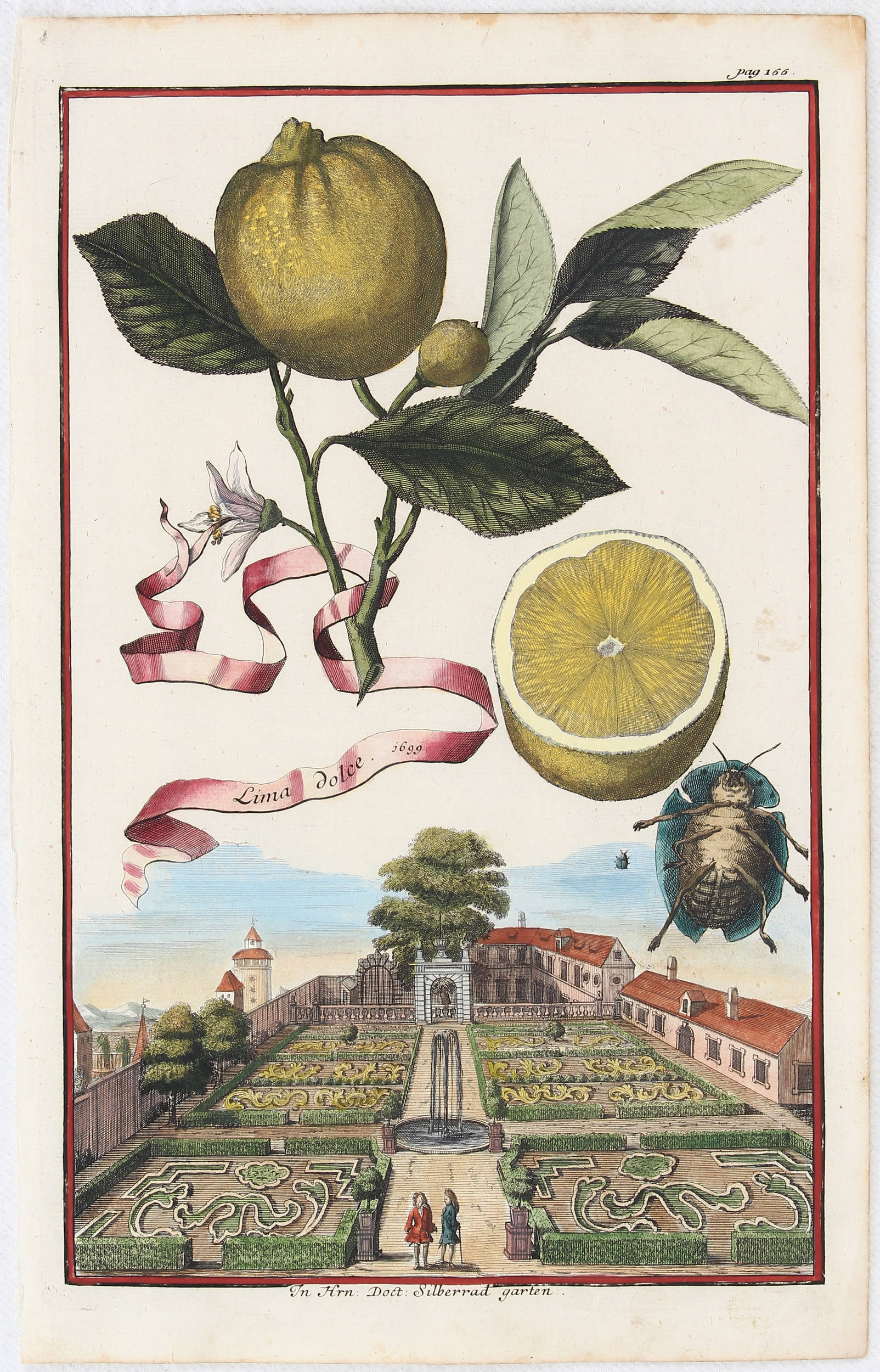 Früchte. 12 Bll. (Volckamer)