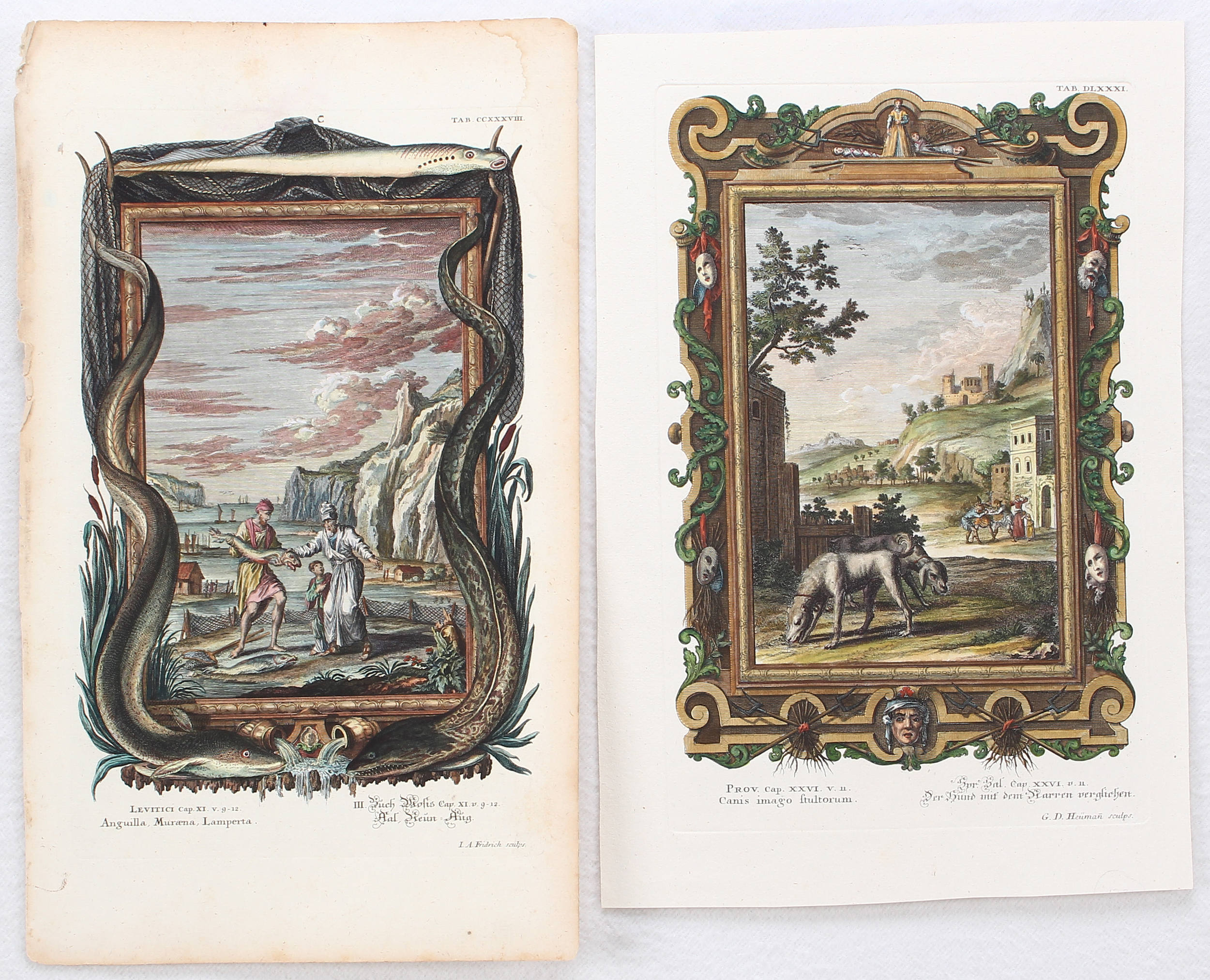 Scheuchzer. 18 Bll. Kupfer-Bibel