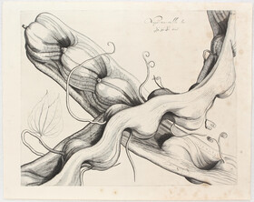 Blumen u. Pflanzen. 20 Bll. (Rheede)