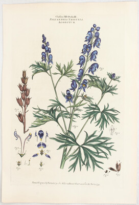 Blumen u. Pflanzen. 44 Bll. J. Miller