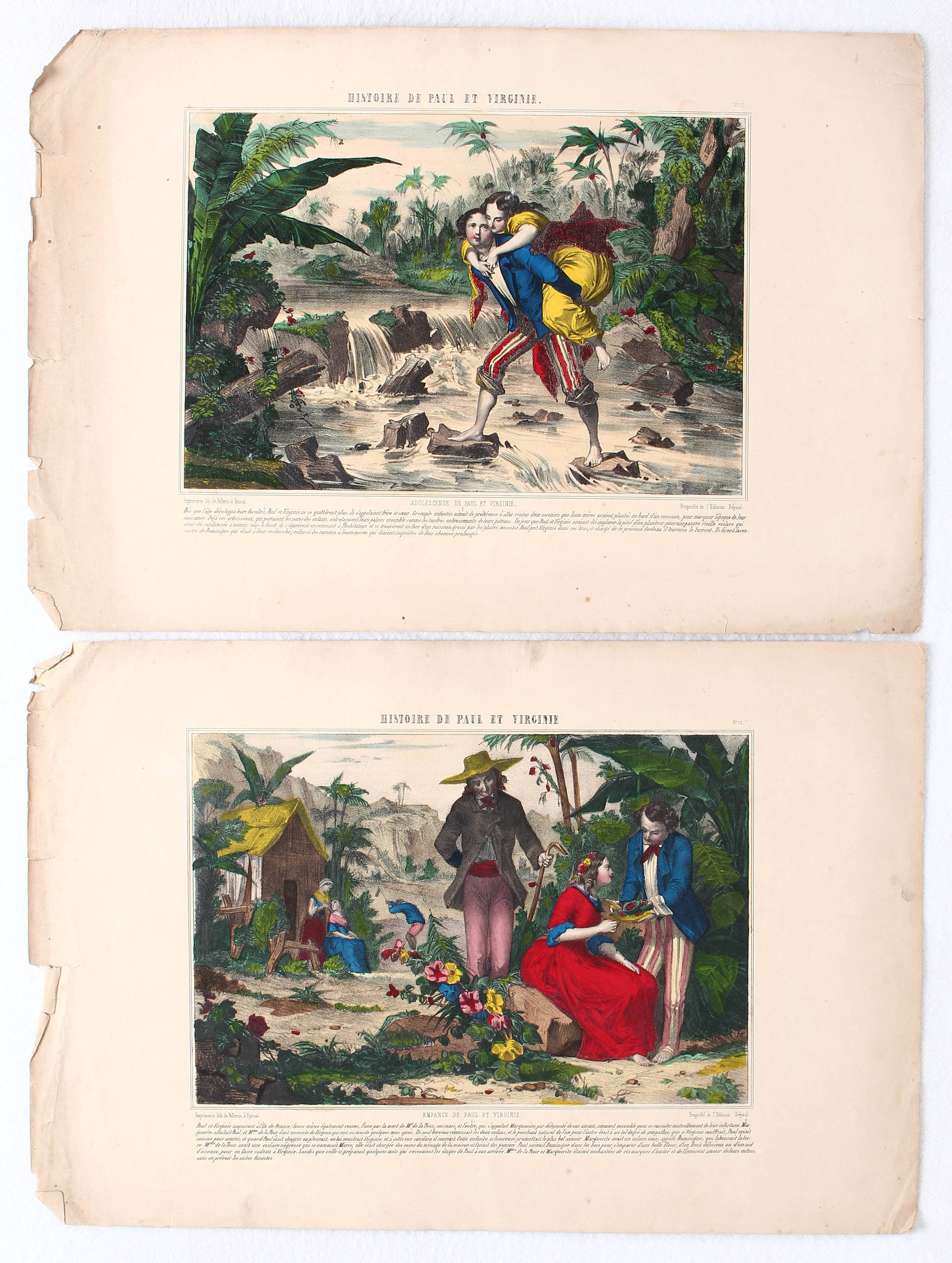 Genoveva. Peduzzi / 12 Bll.