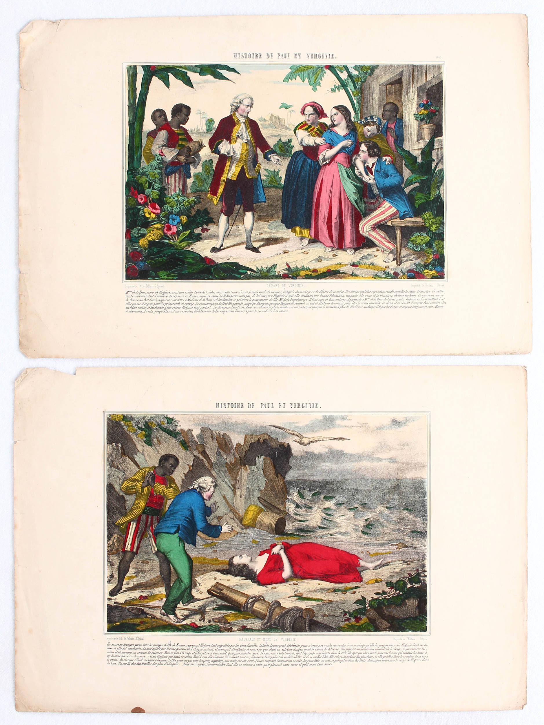 Genoveva. Peduzzi / 12 Bll.