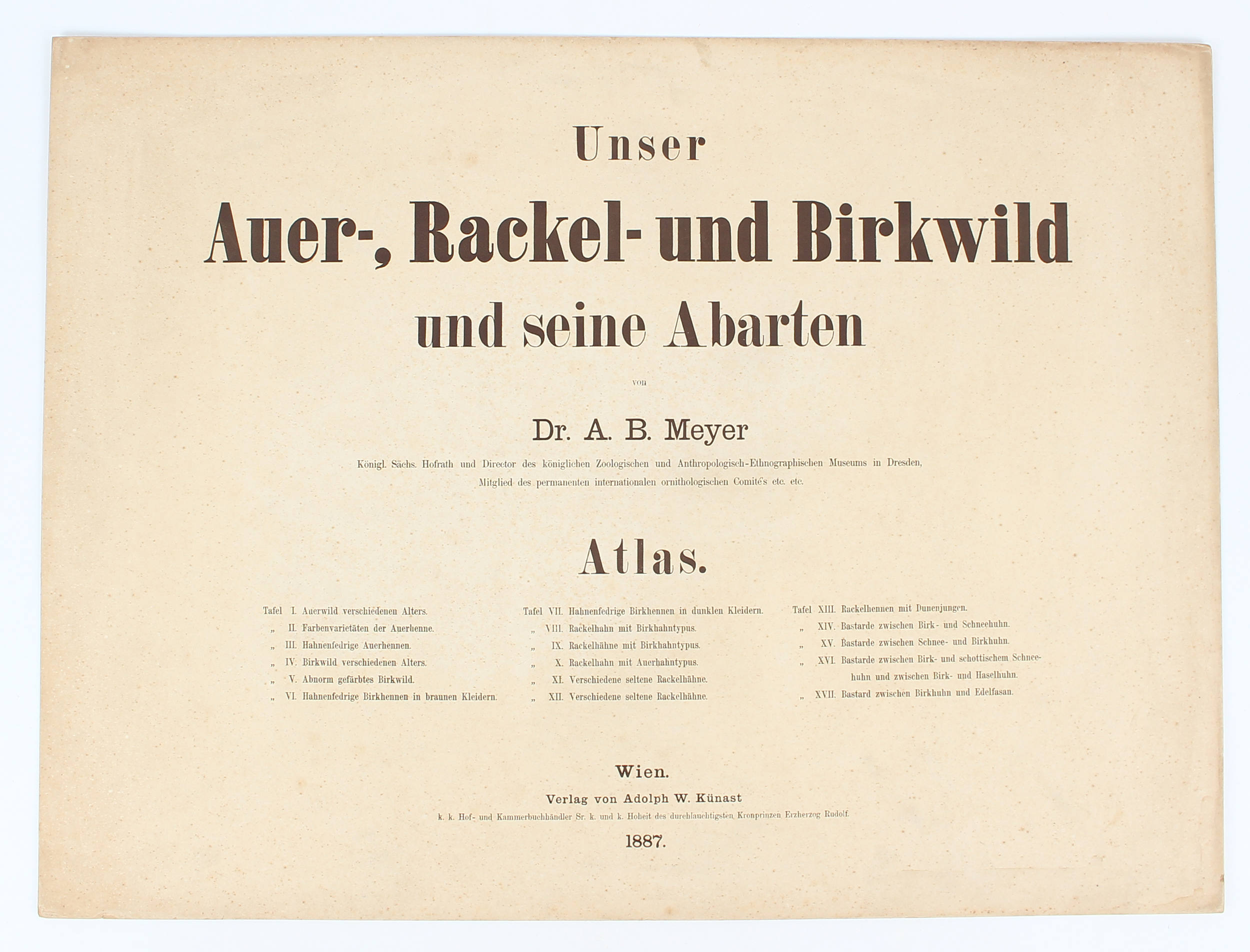 Meyer, Auer-, Rackel- und Birkwild. Ohne Einband