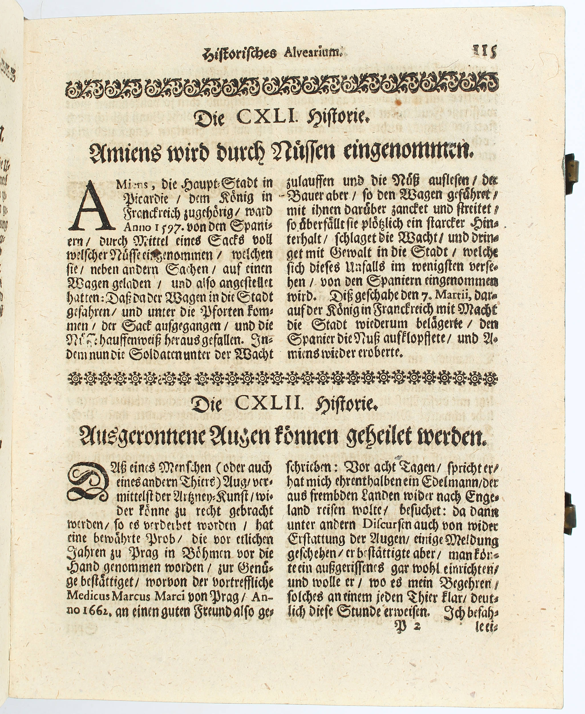 Pock, Alvearium oder Immen-Hauß