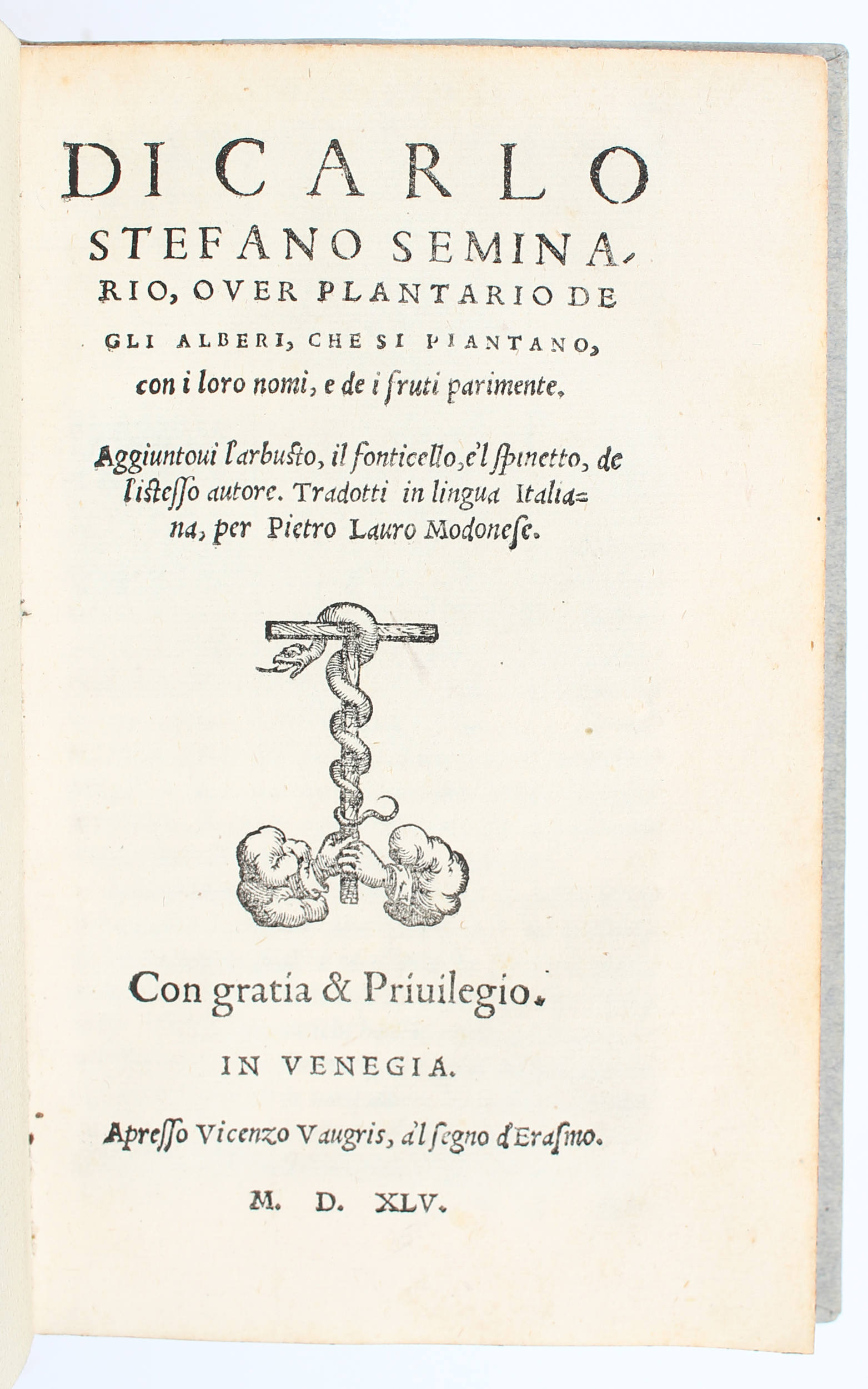 Estienne, Seminario (&) L'arbusto in 1 Bd.