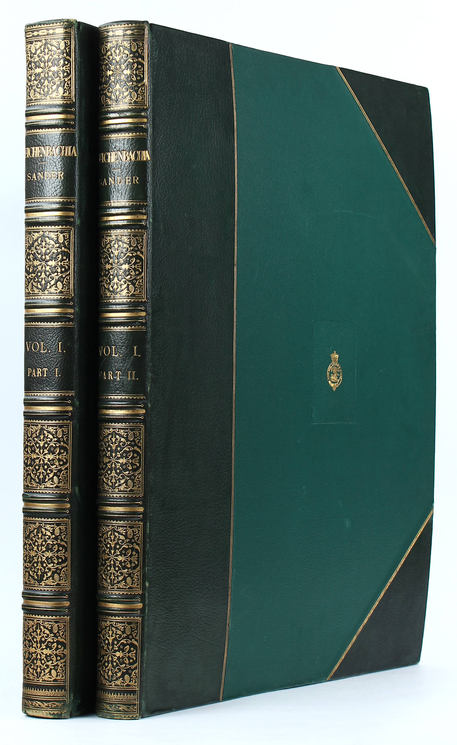 Sander, Reichenbachia 2