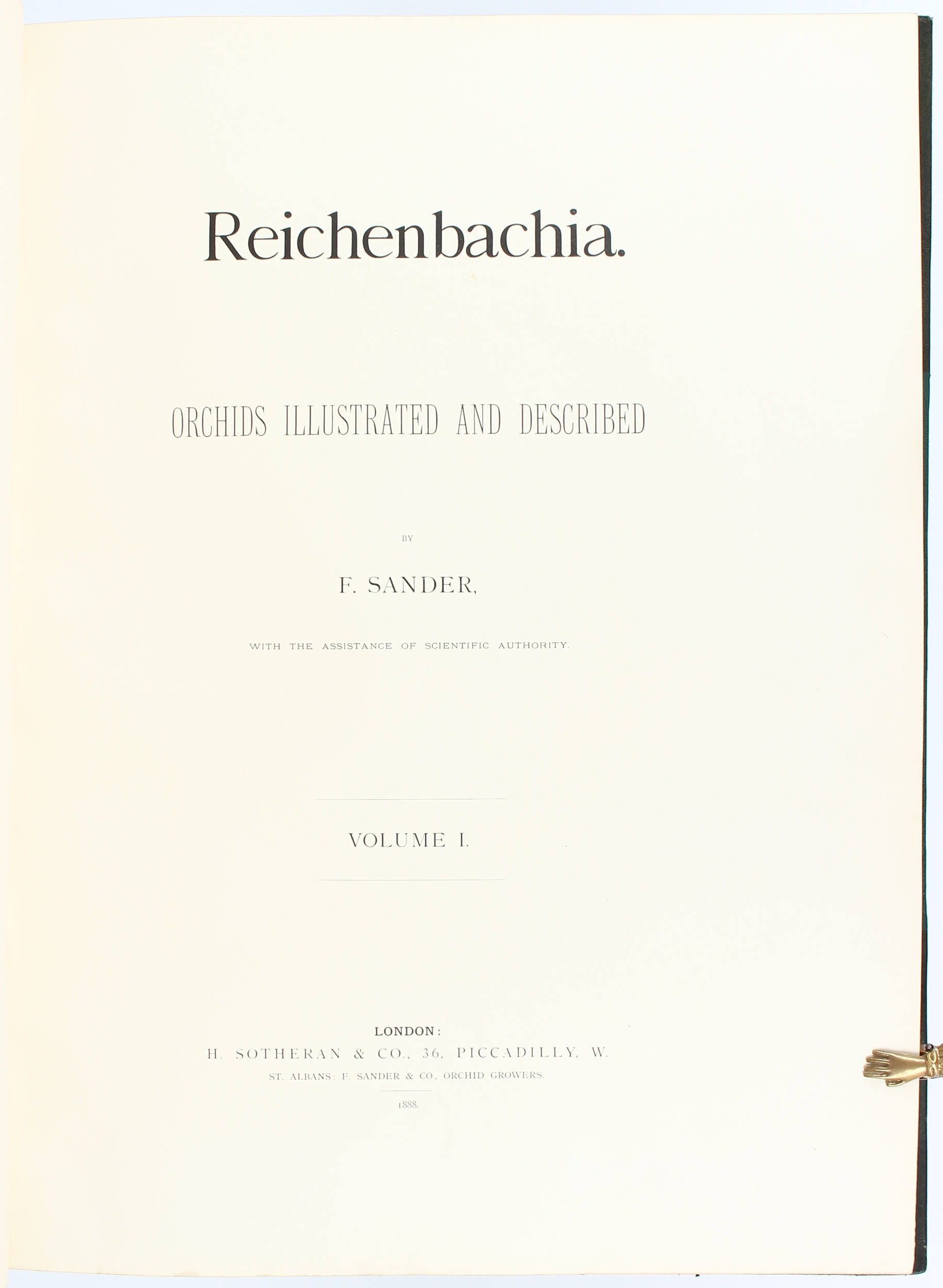 Sander, Reichenbachia 2