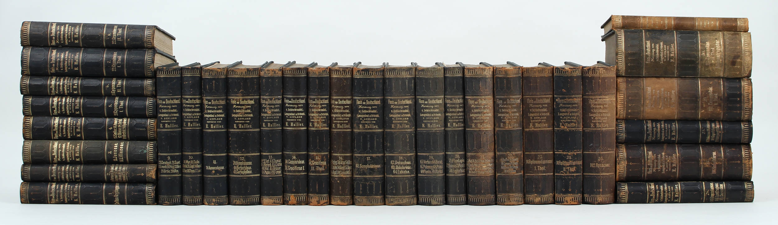 Schlechtendal u.a., Flora. 31 Bde.