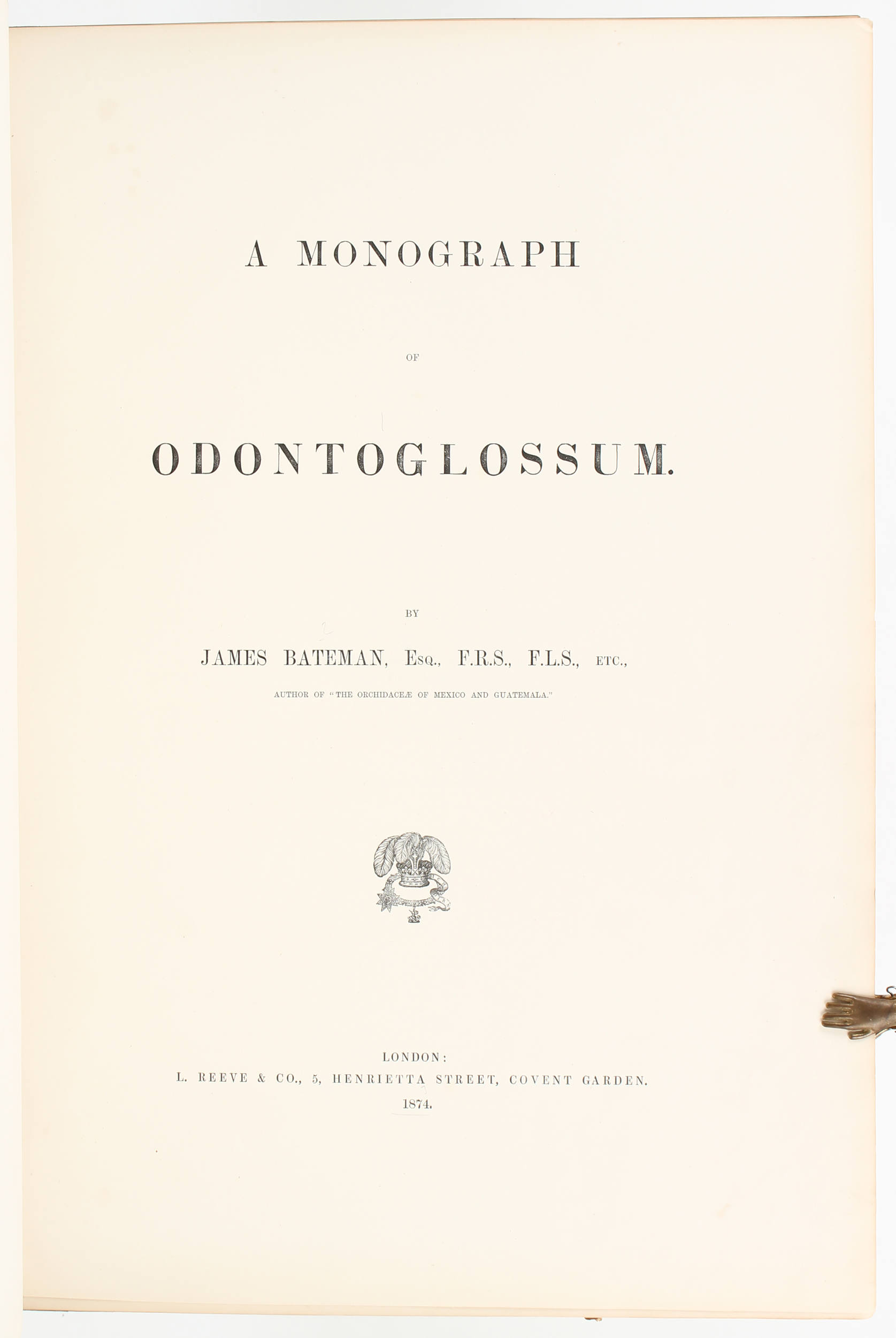 Bateman, Odontoglossum