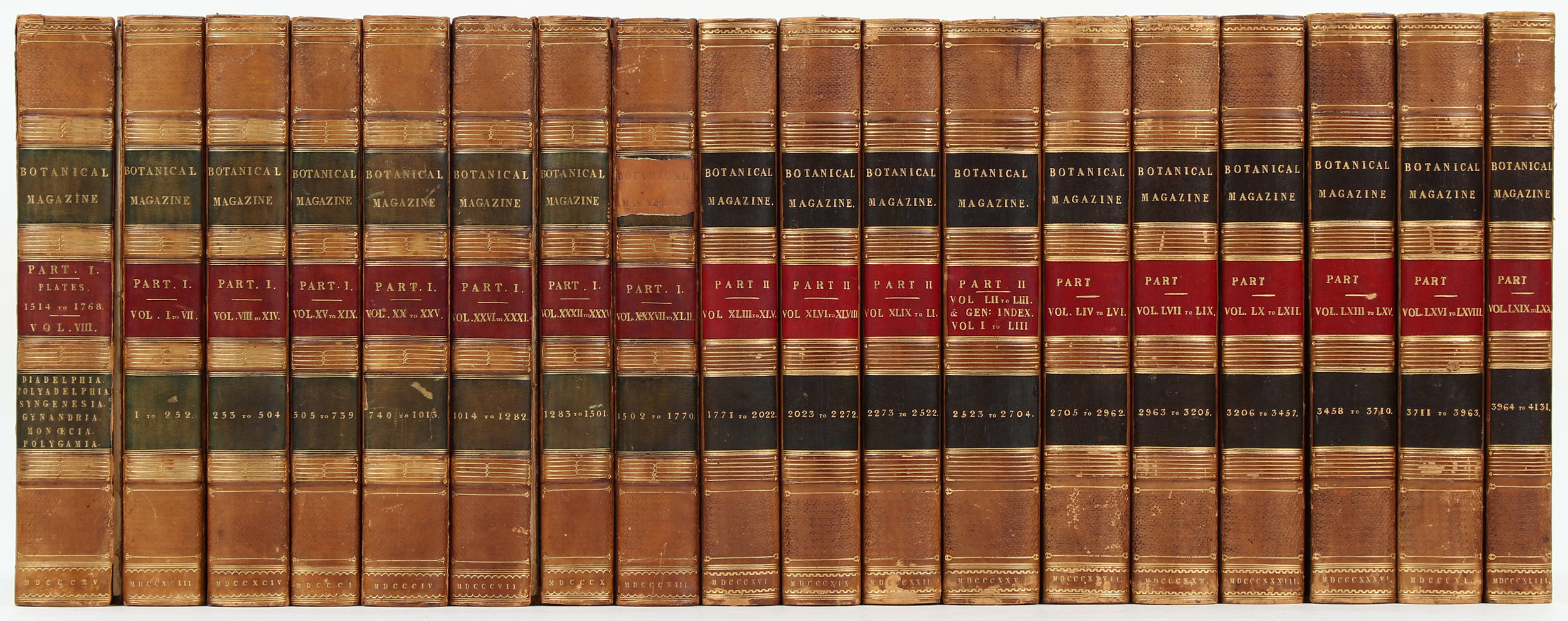 Curtis, Botanical Magazine. 18 Bde.