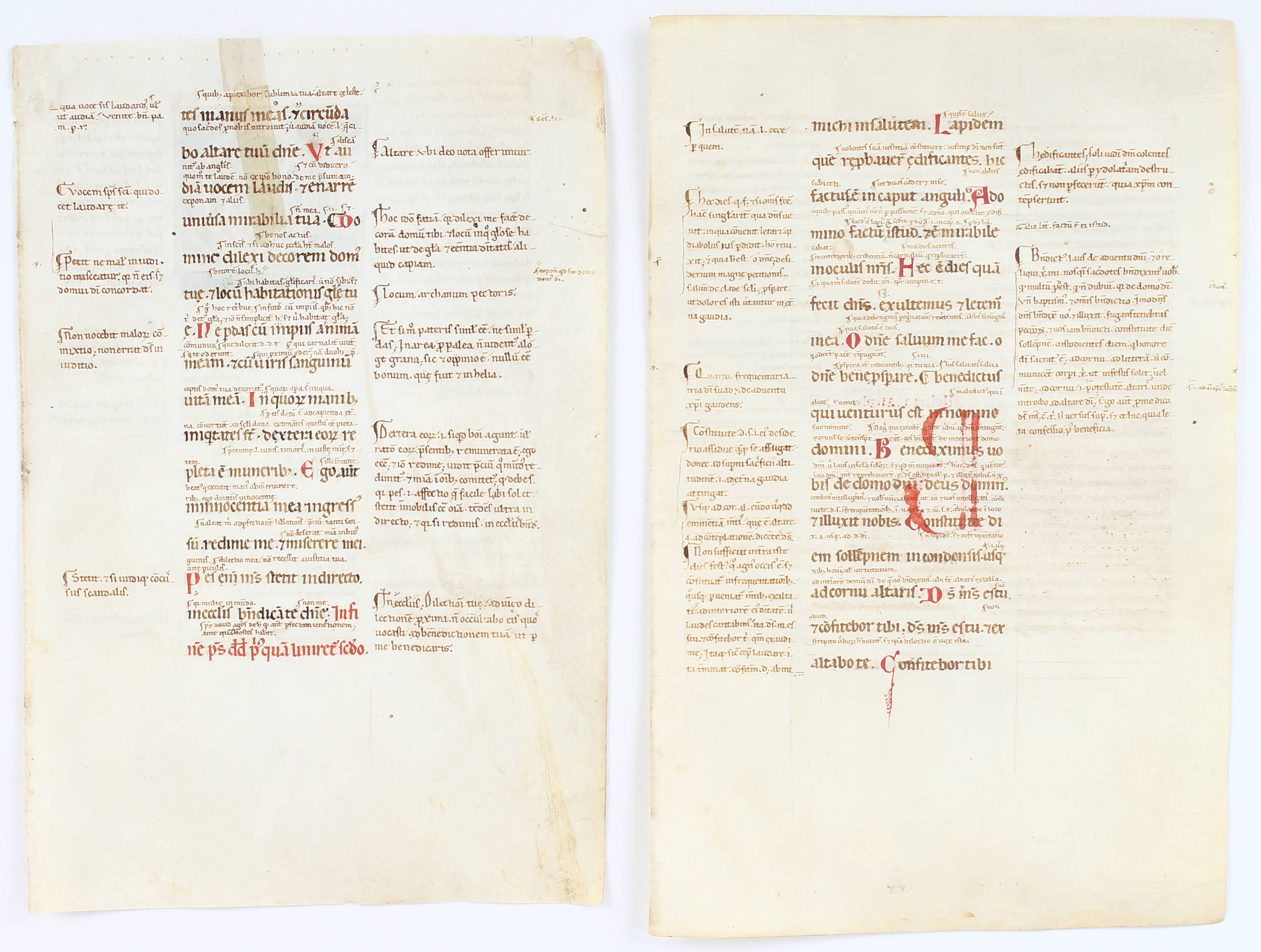 Psalterium. 2 Blatt