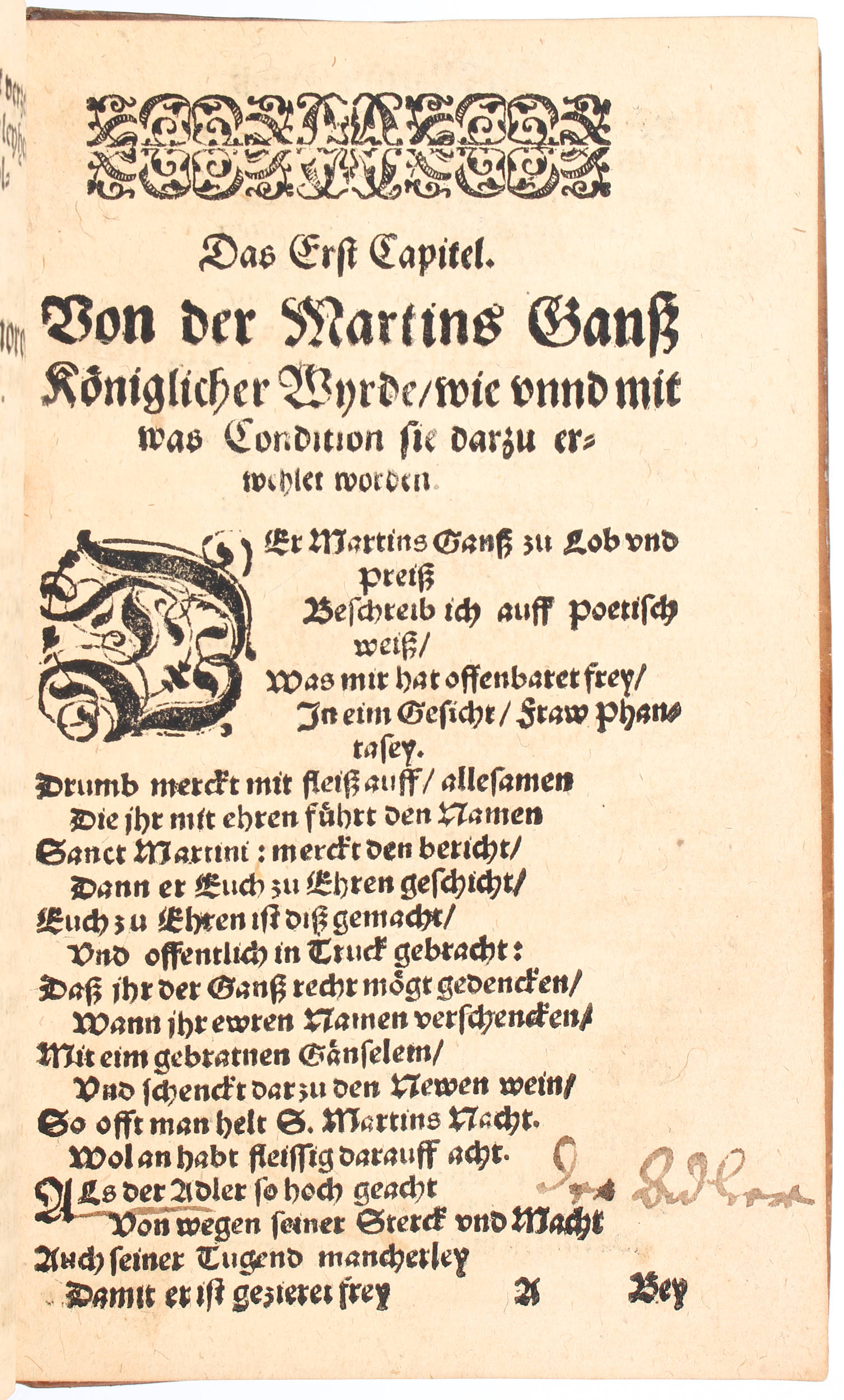 (Spangenberg), Ganß König