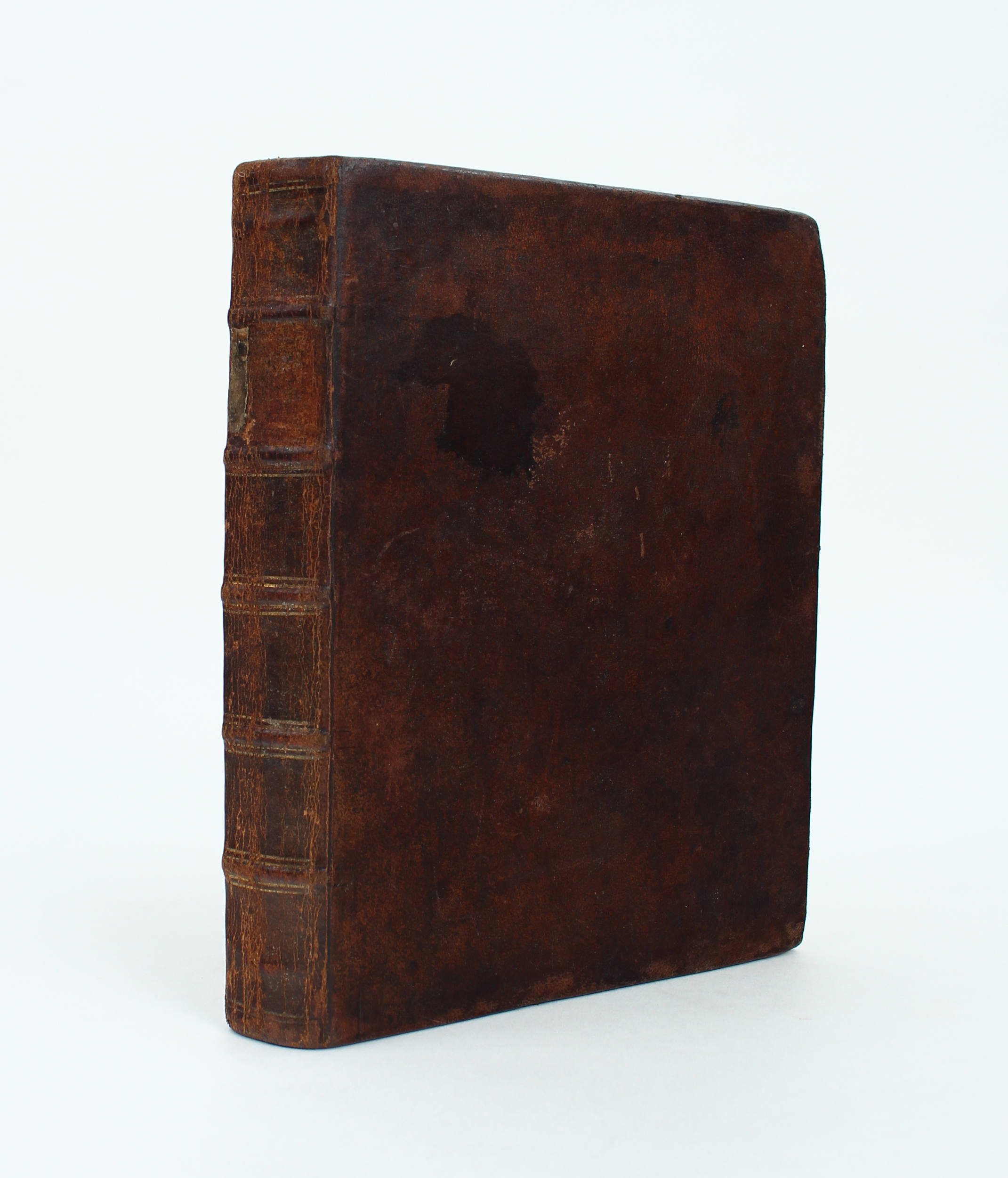 Sulzer, Kennzeichen der Insekten