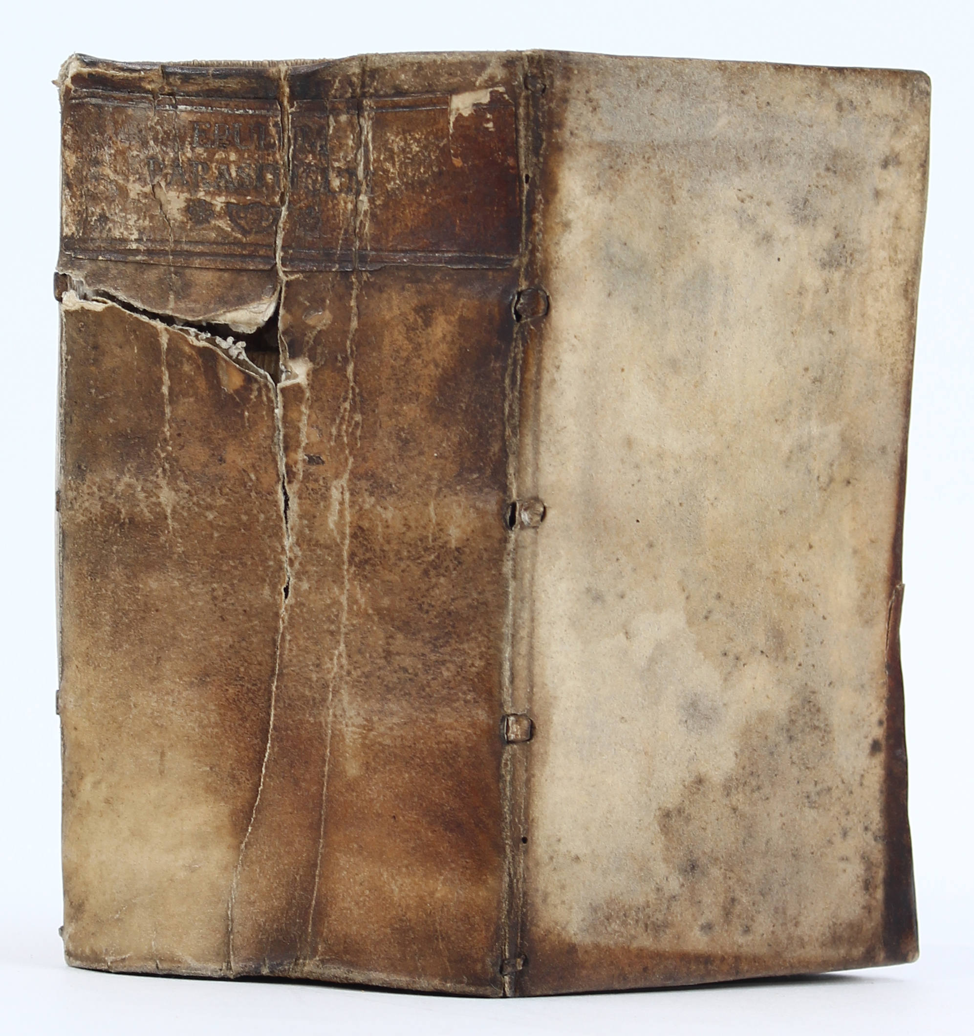 Epulum parasiticum + Beibände