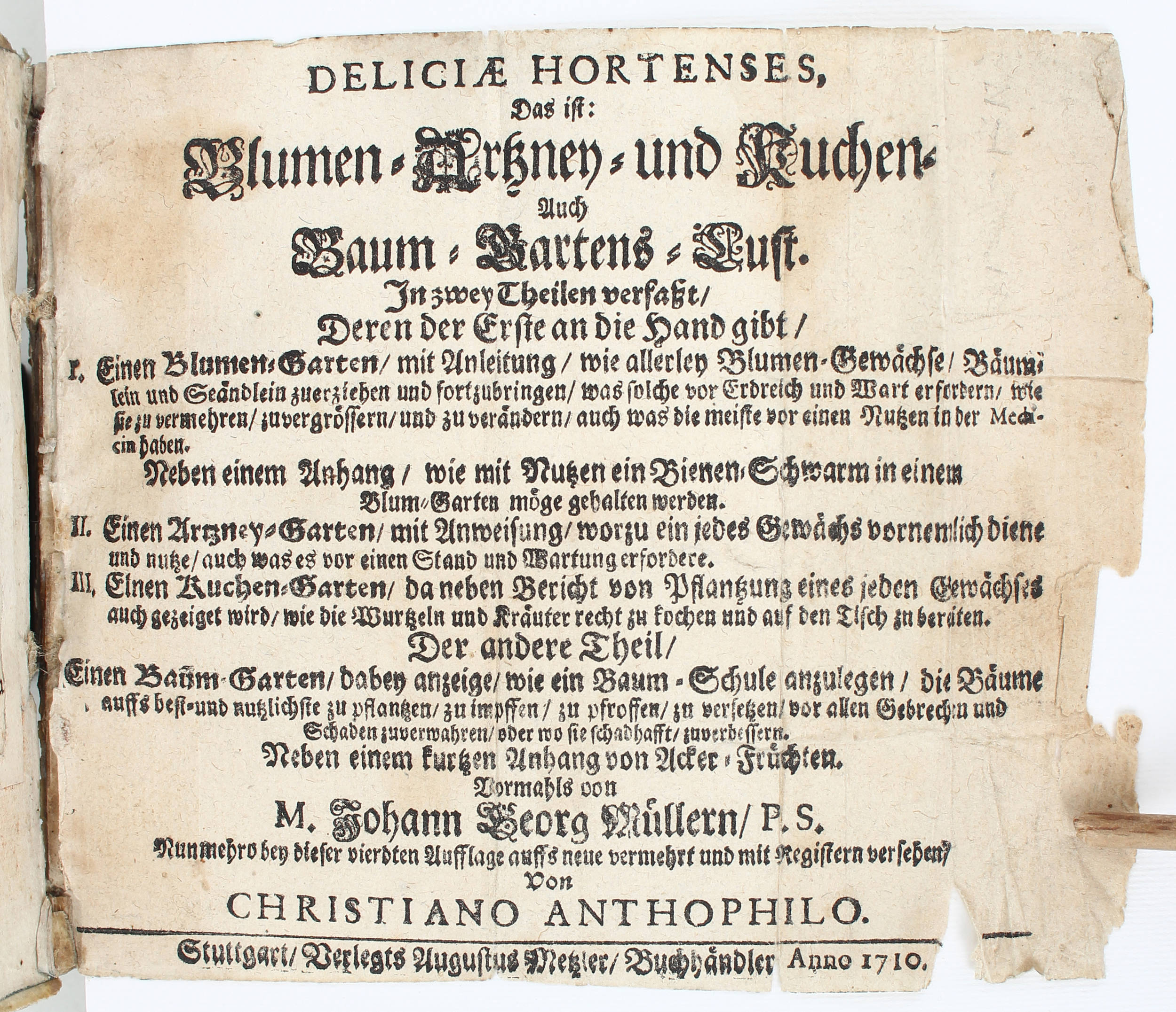 Müller, Deliciae hortenses