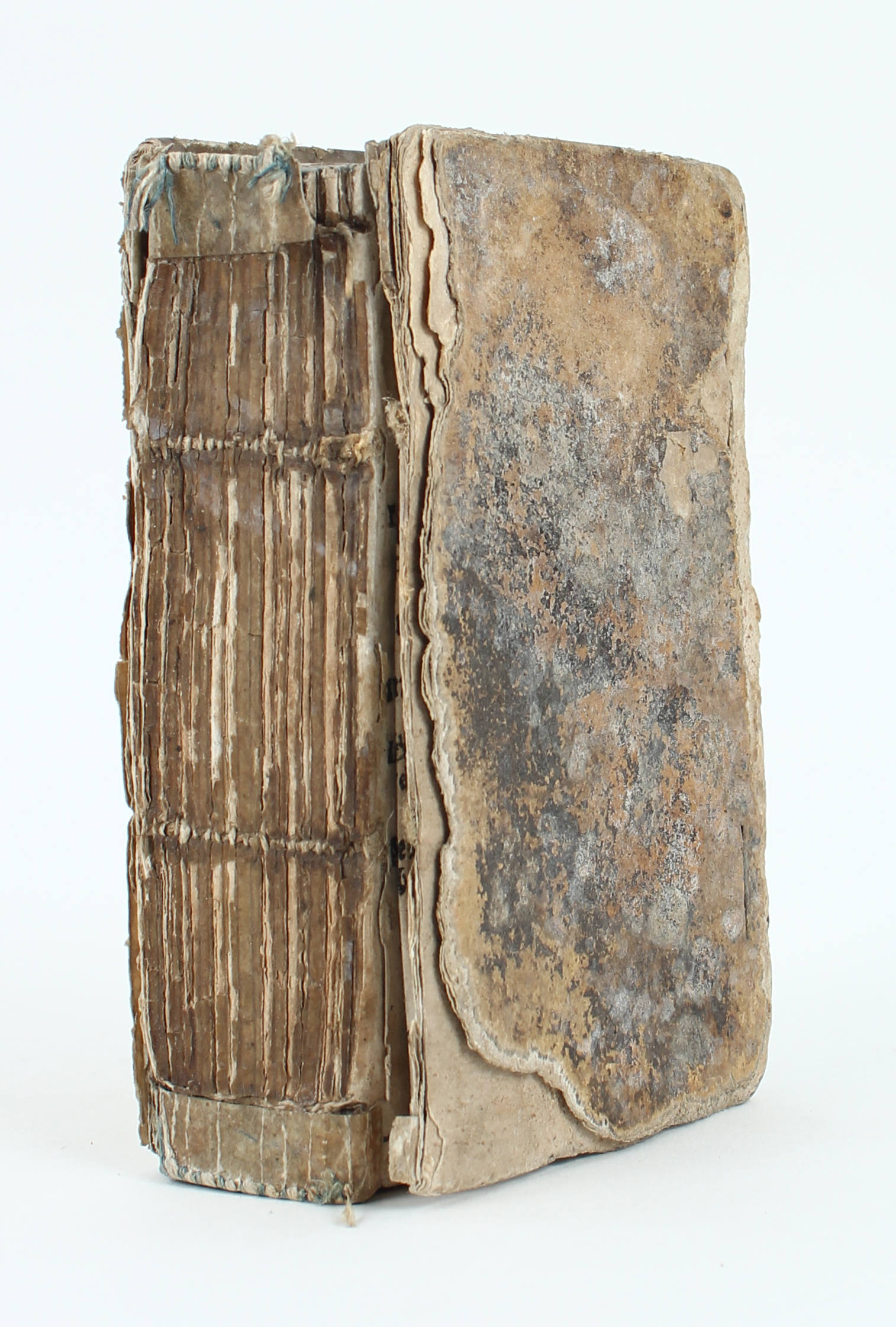 Müller, Deliciae hortenses