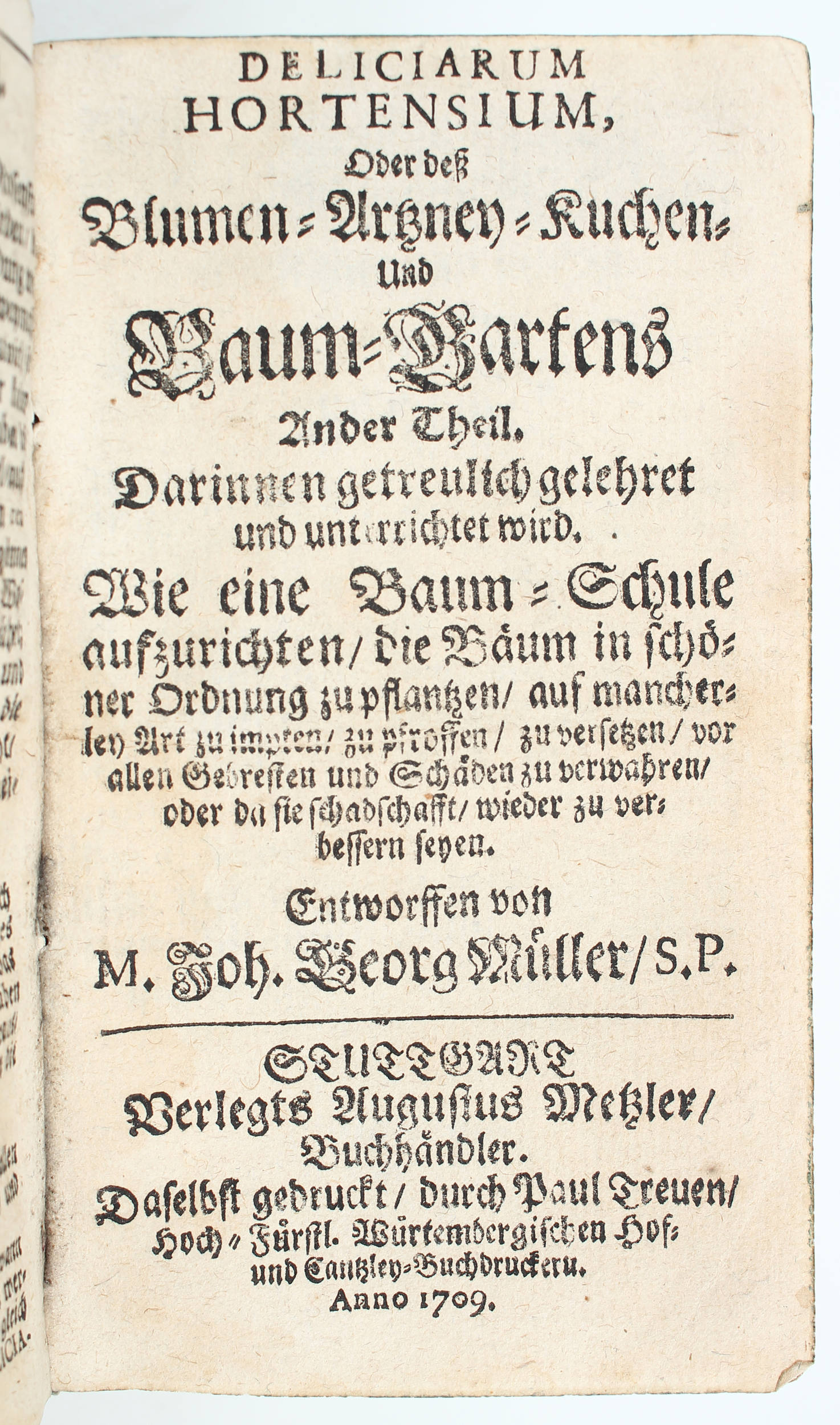 Müller, Deliciae hortenses