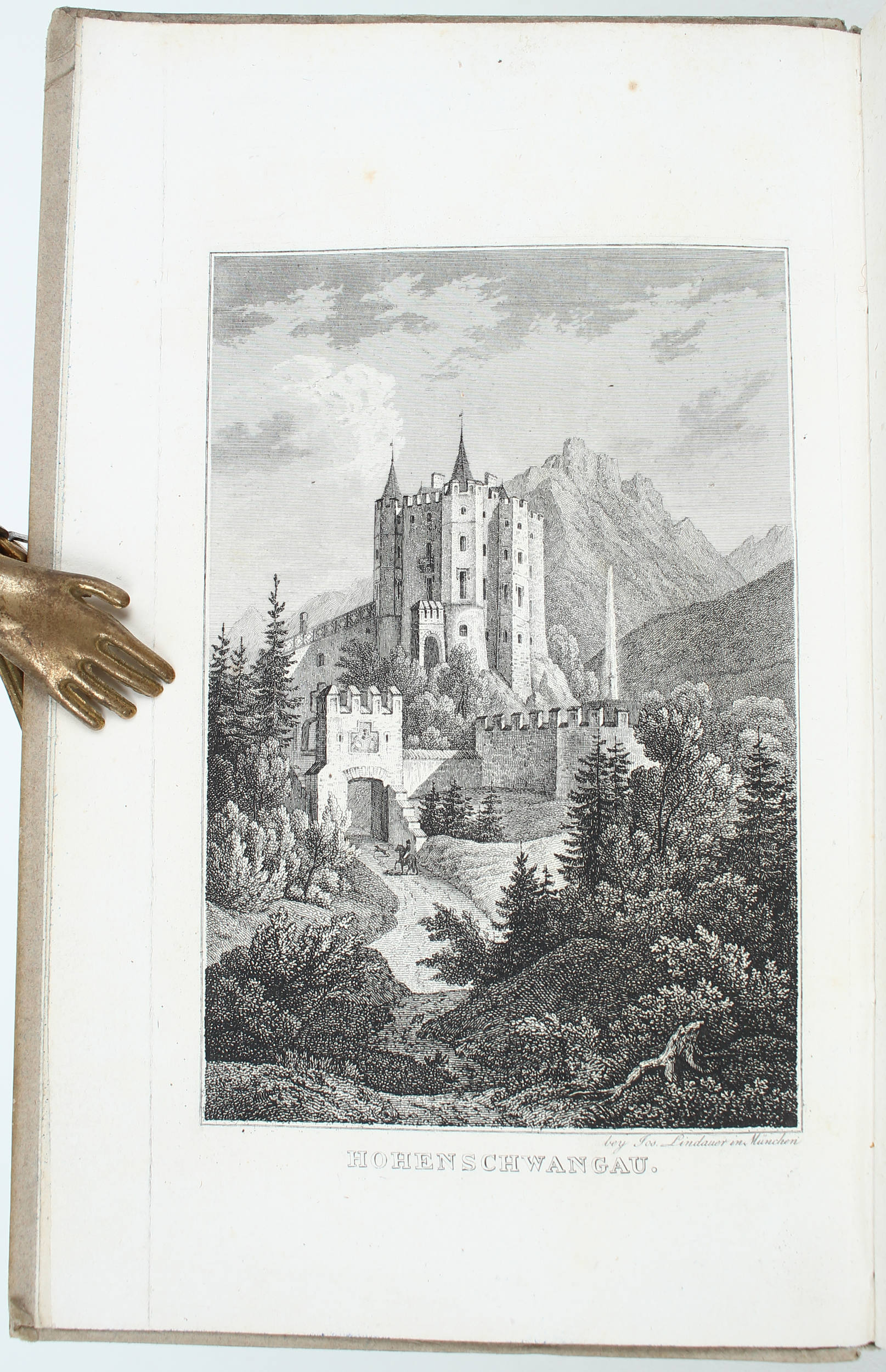 Schaden, Taschenbuch