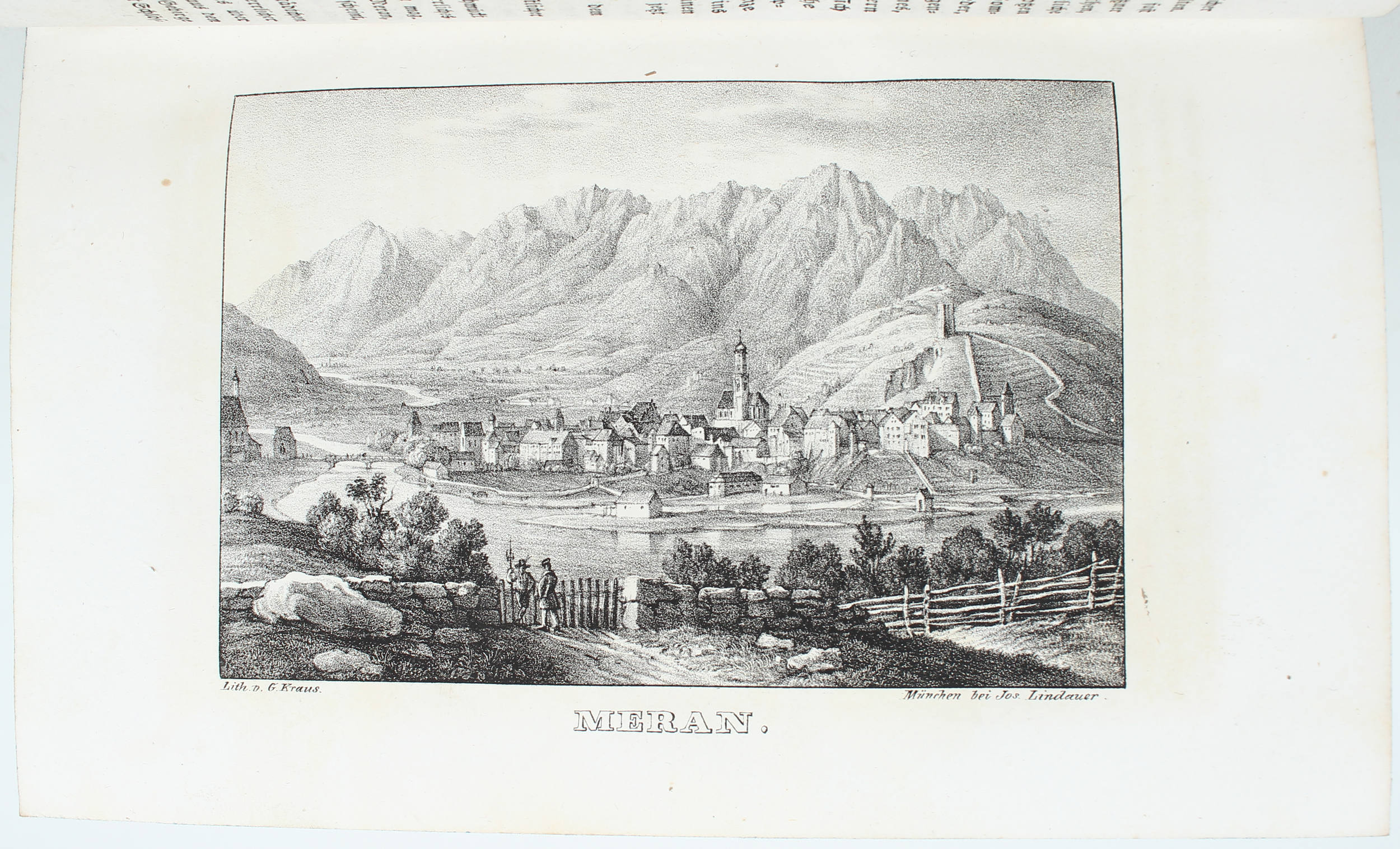 Schaden, Taschenbuch
