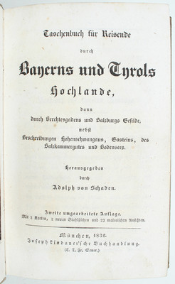 Schaden, Taschenbuch