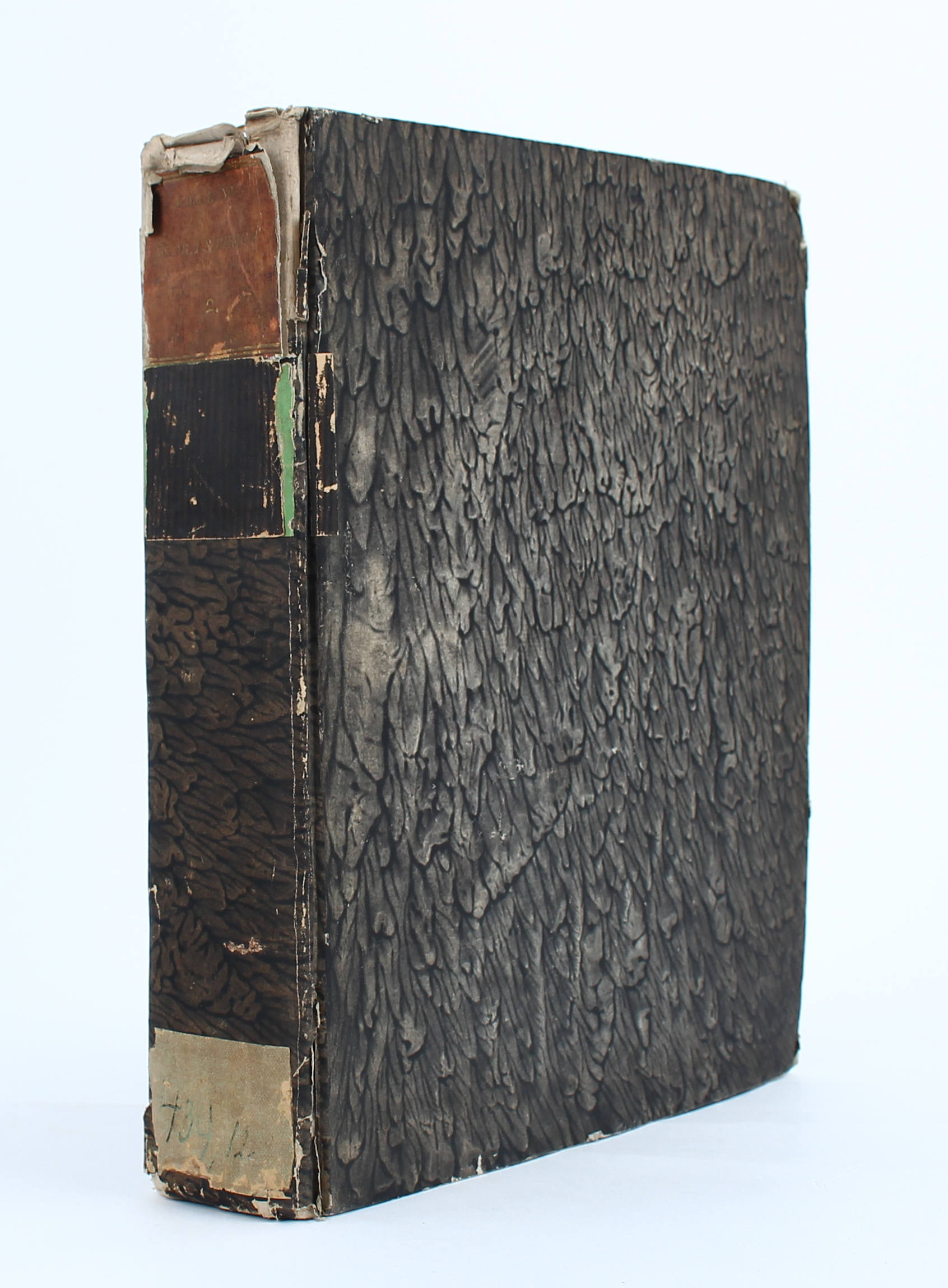 (Gmelin), Flora Sibirica. Bd. 2