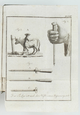 Fuß, Anweisung zur Erlernung der Landwirthschaft