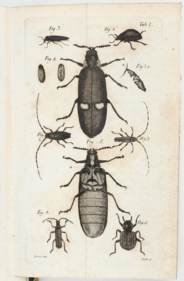 Abhandlungen der Hallischen naturforsch. Gesellschaft