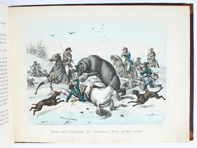 Hoffmann, Charakterbilder a. d. Thierwelt