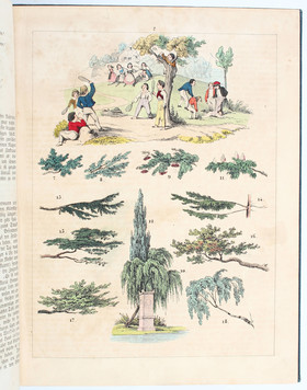 Pflanz, Die Natur in Bildern / 2 Bde.