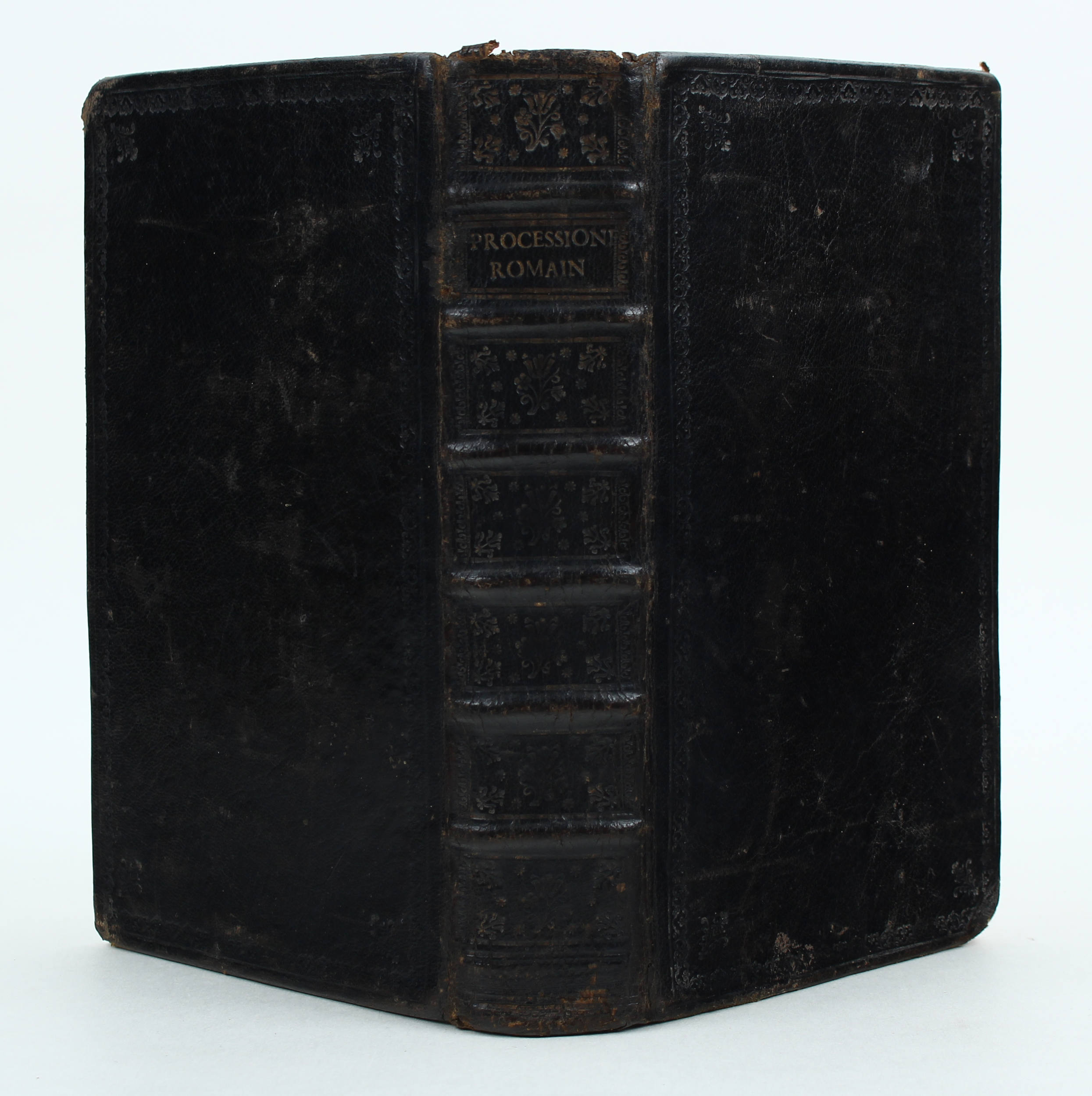 Landuitte, Processionel