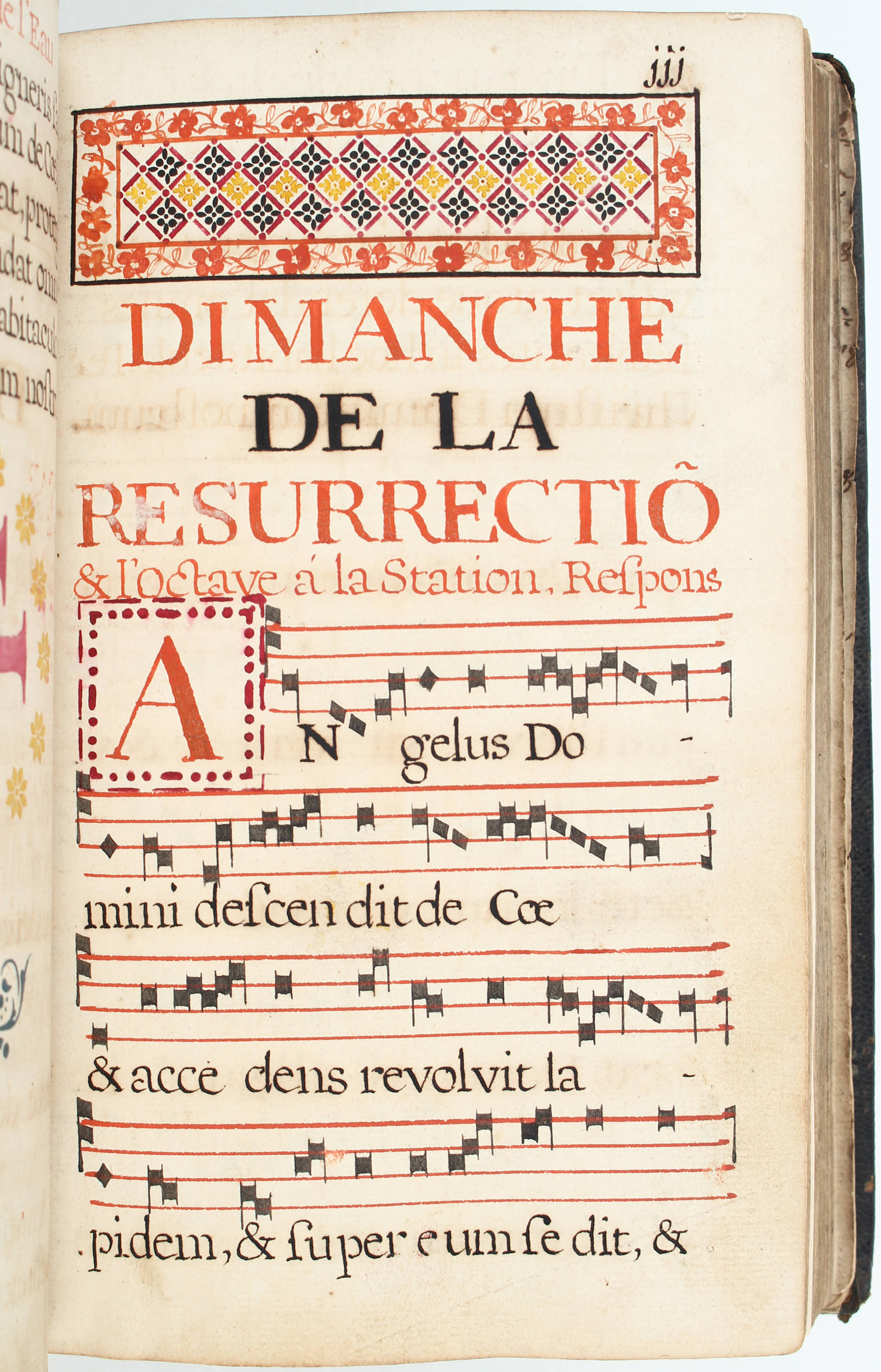 Landuitte, Processionel