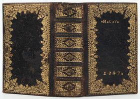 Peregrinatio novena oder Zuflucht