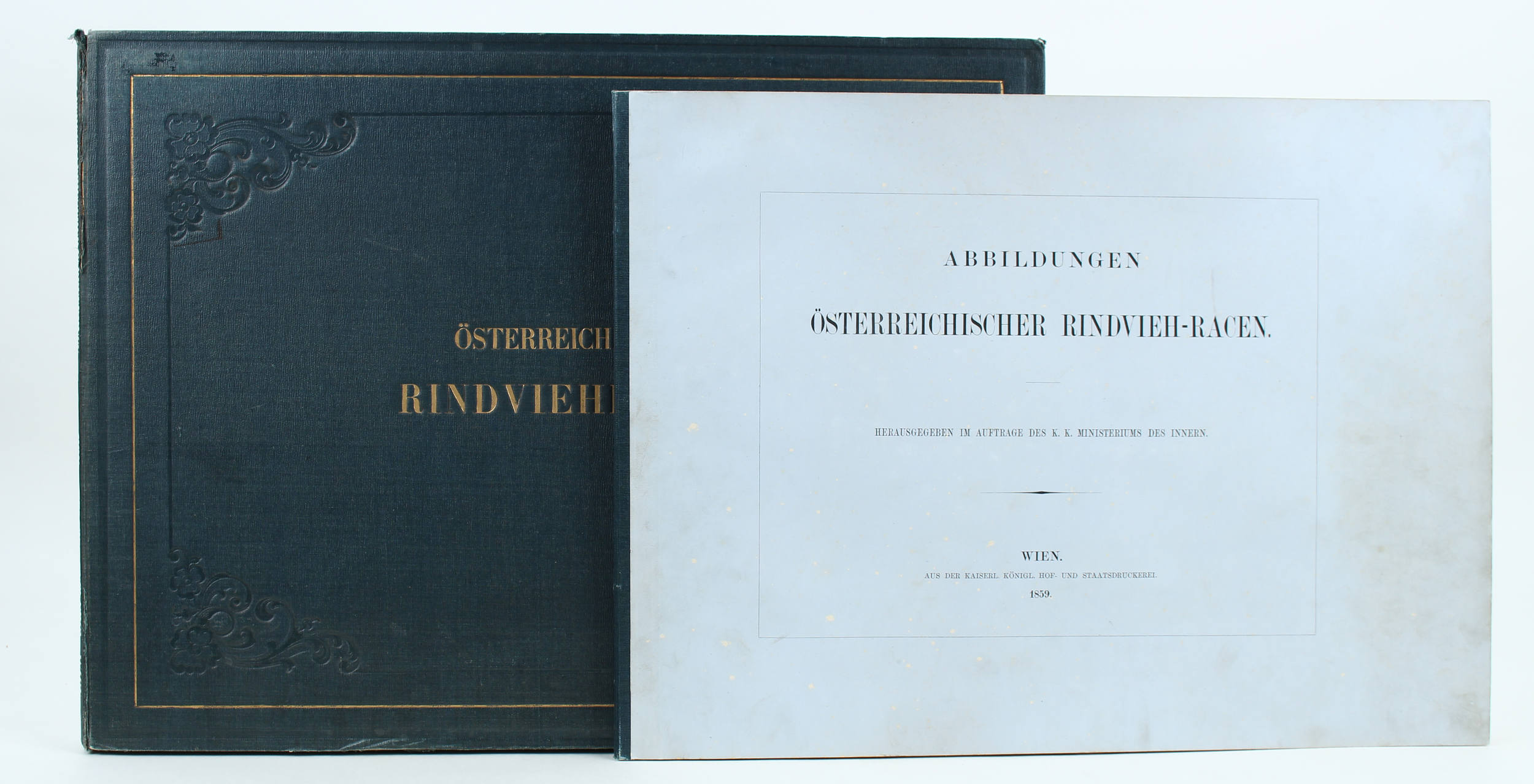 Abbildungen österr. Rindvieh-Racen
