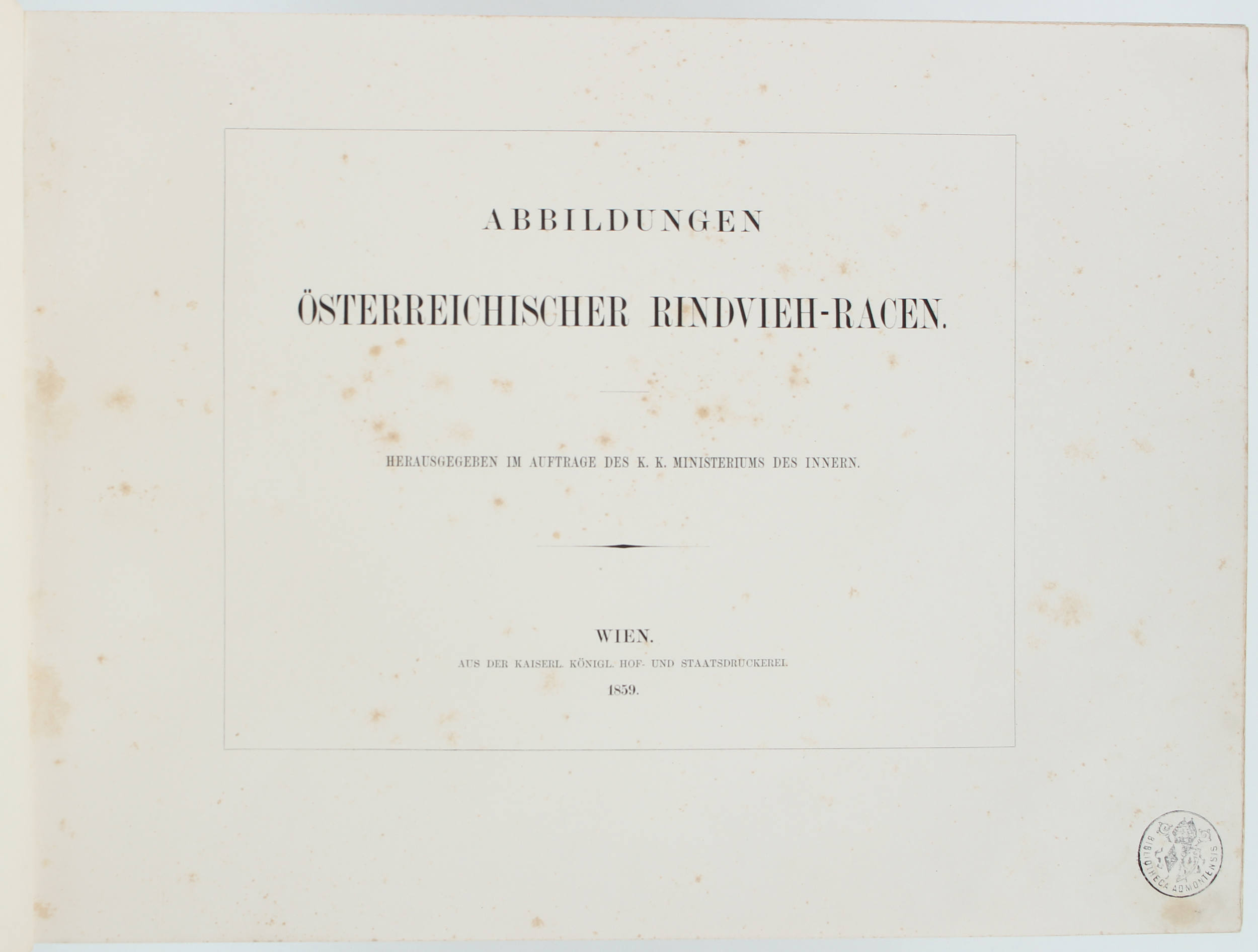 Abbildungen österr. Rindvieh-Racen