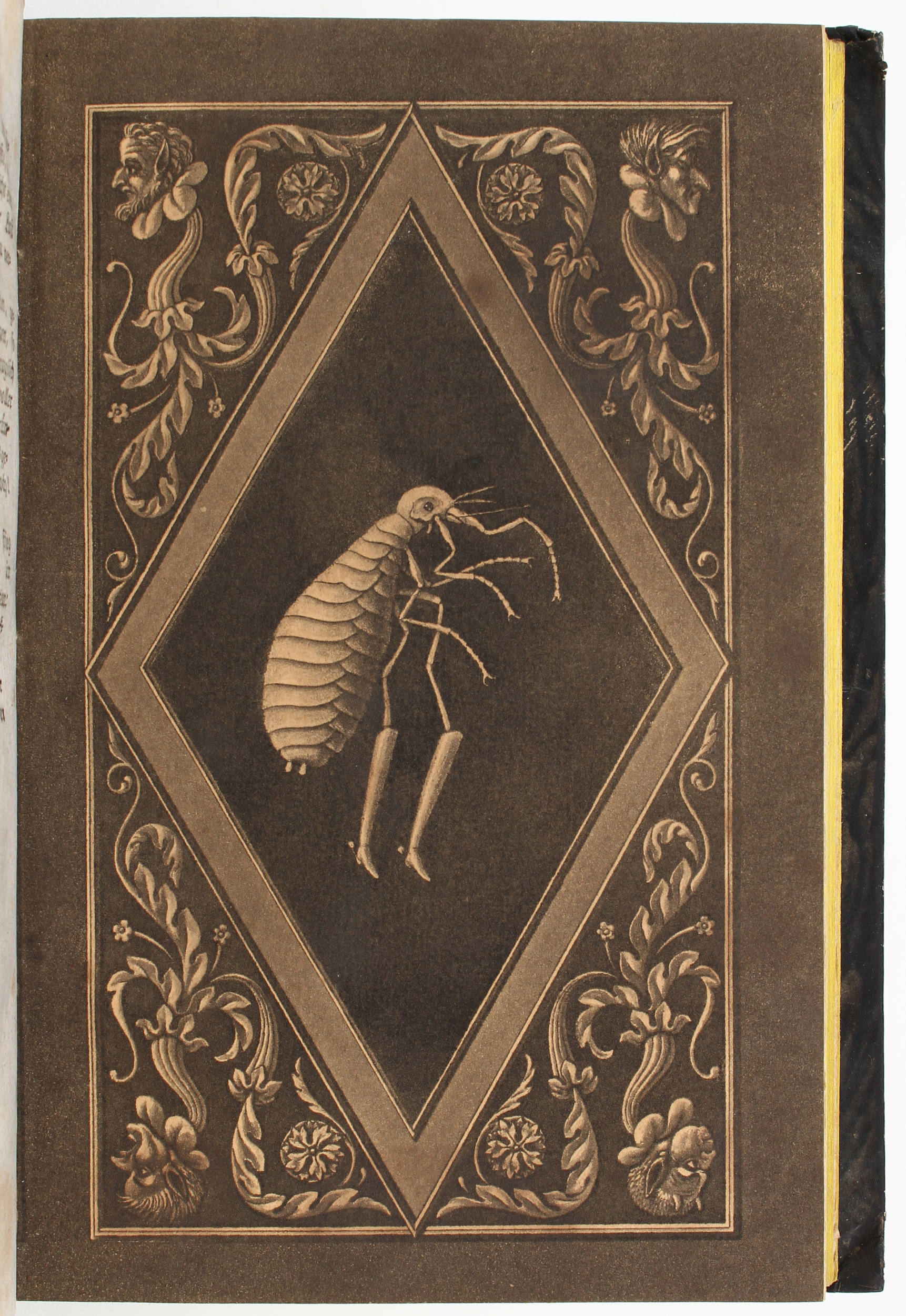 Hoffmann, Ausgewählte Schriften. 10 Bde.