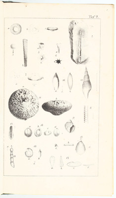 Boll, Geognosie der Ostseeländer