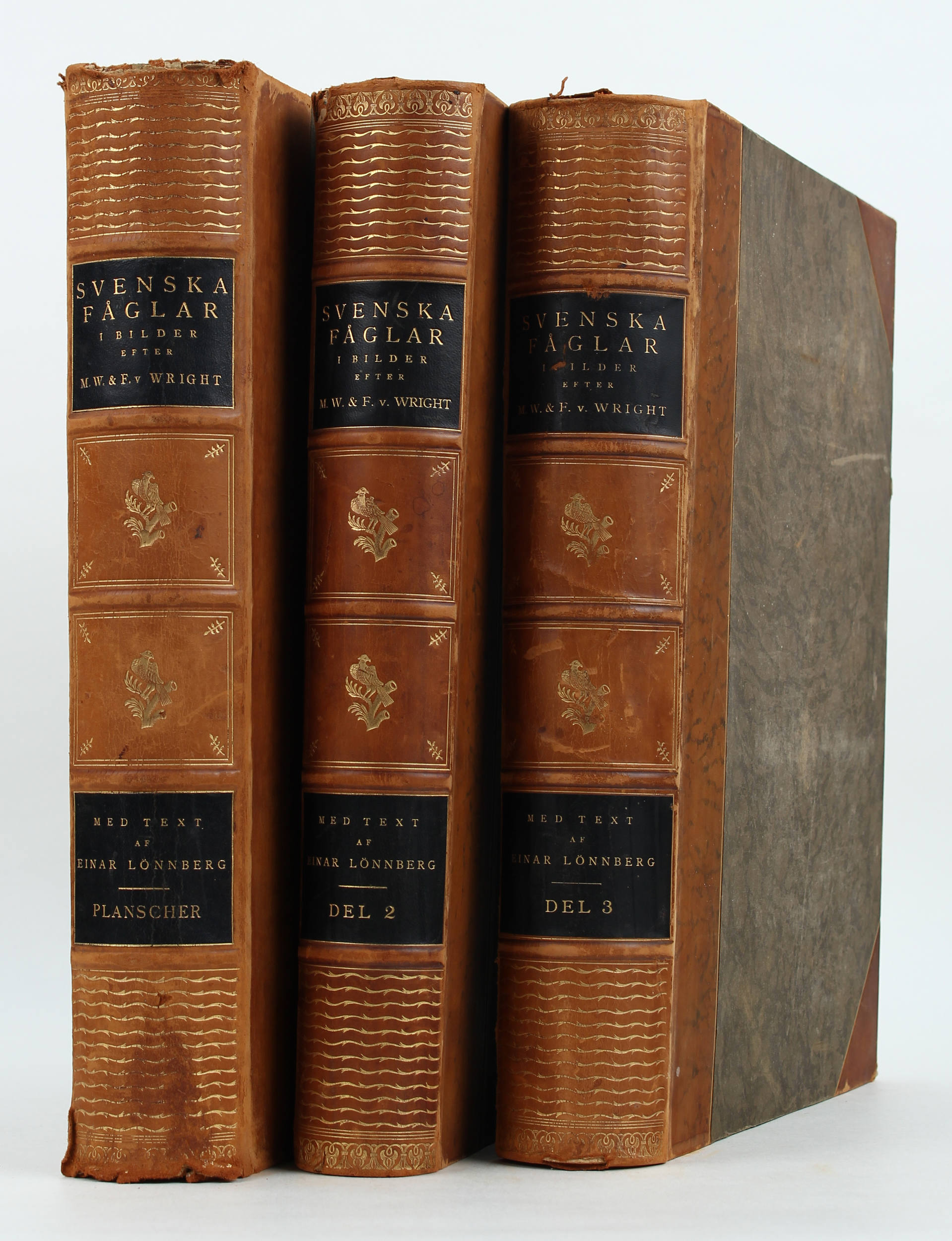 Wright, Svenska Fåglar. 3 Bde.