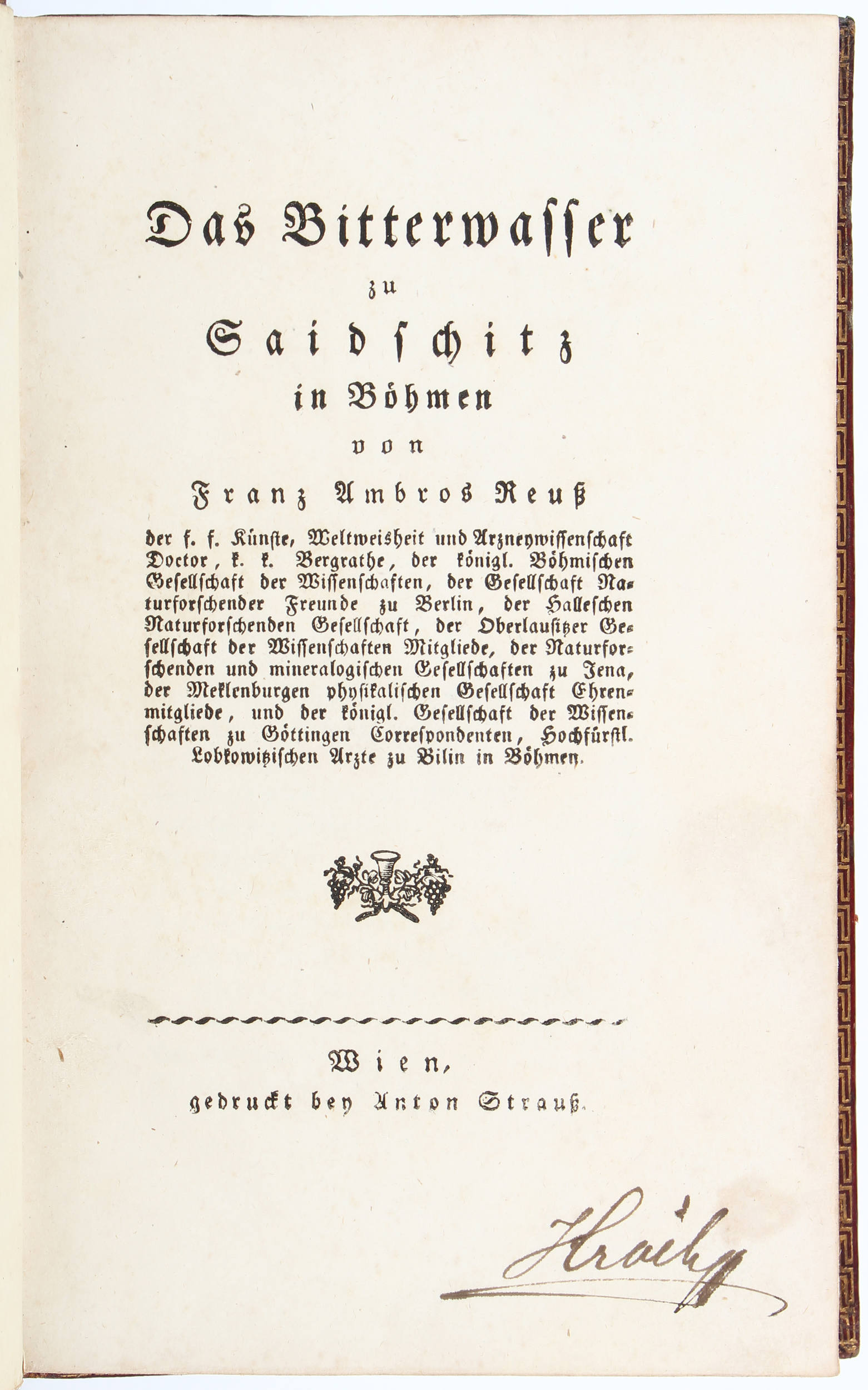 Reuß, Das Bitterwasser zu Saidschitz