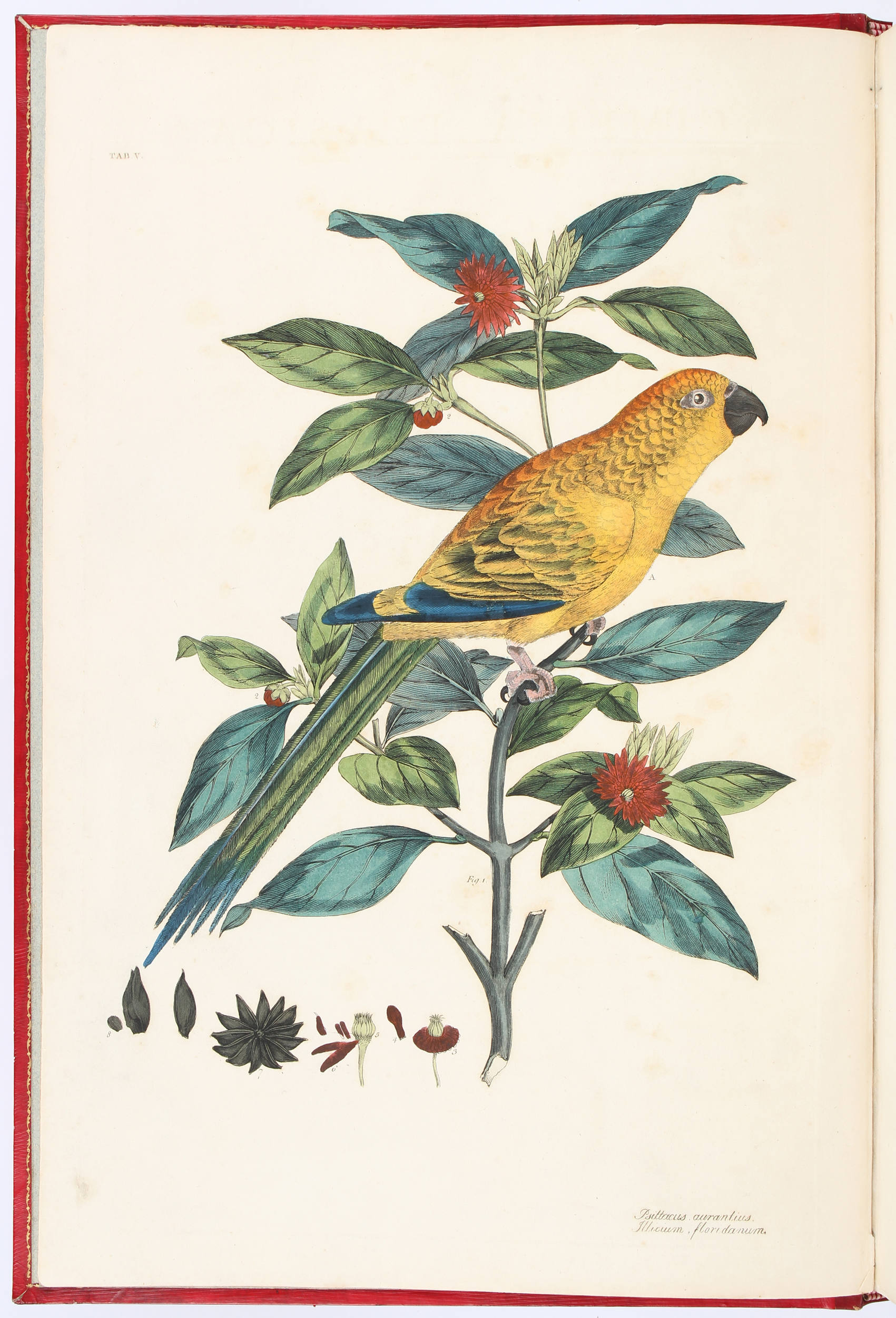 Miller, Cimelia physica