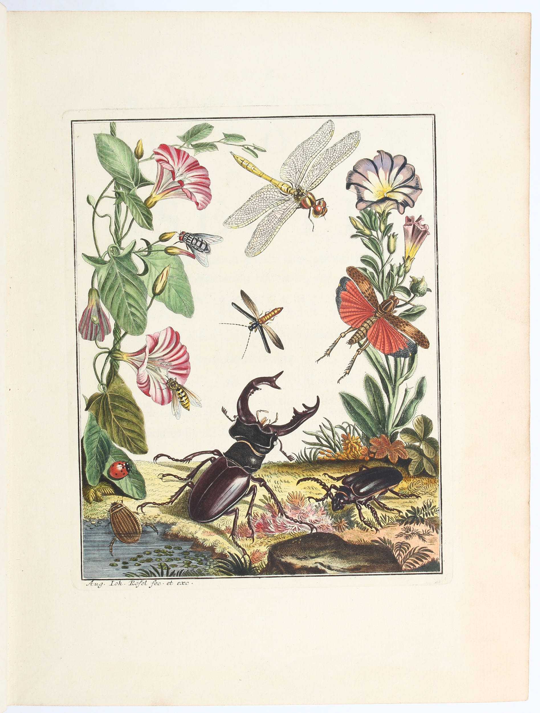 Rösel, Natuurlyke historie der insecten. 9 Bde.
