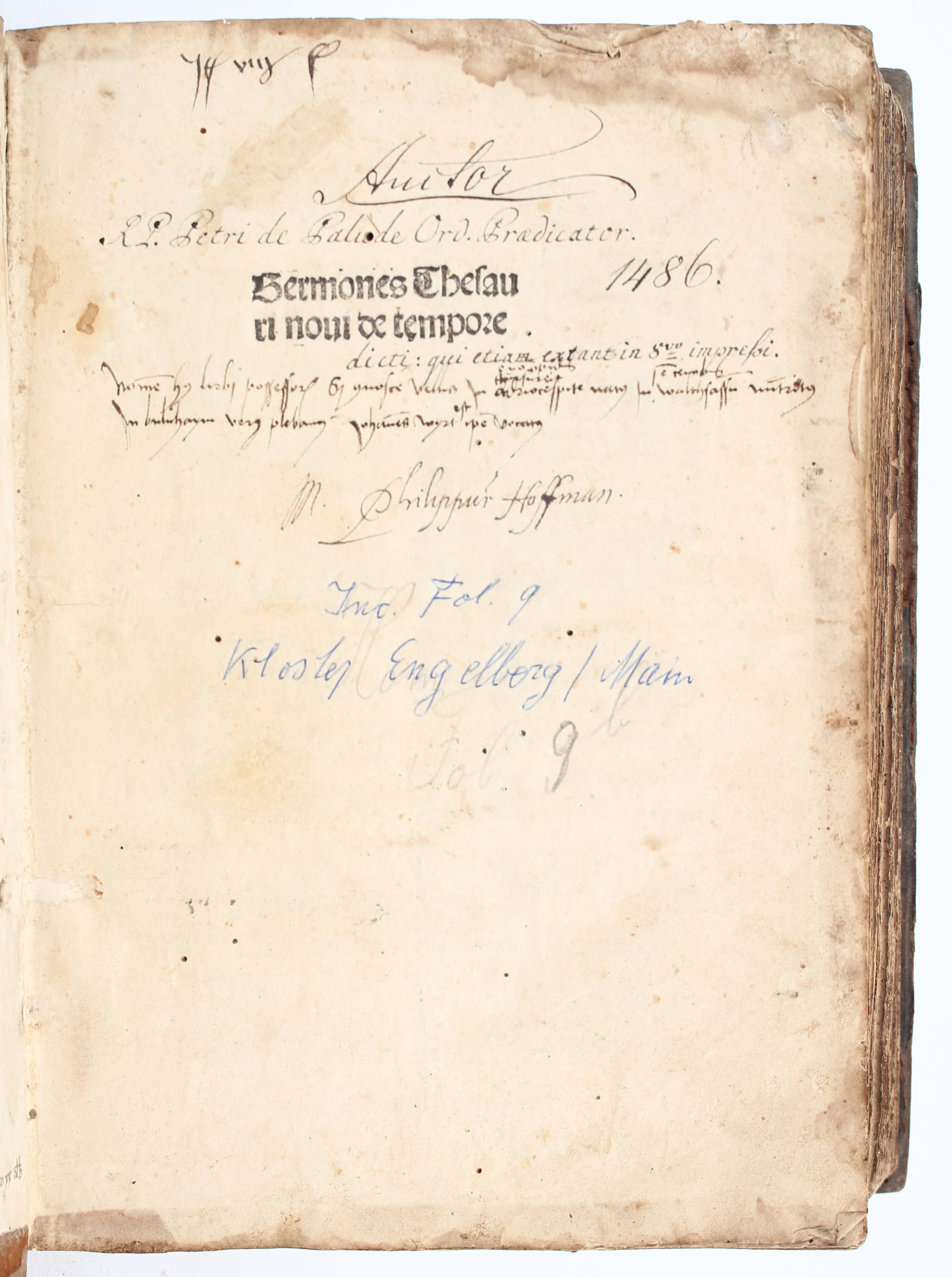 Petrus de Palude, Sermones thesauri novi