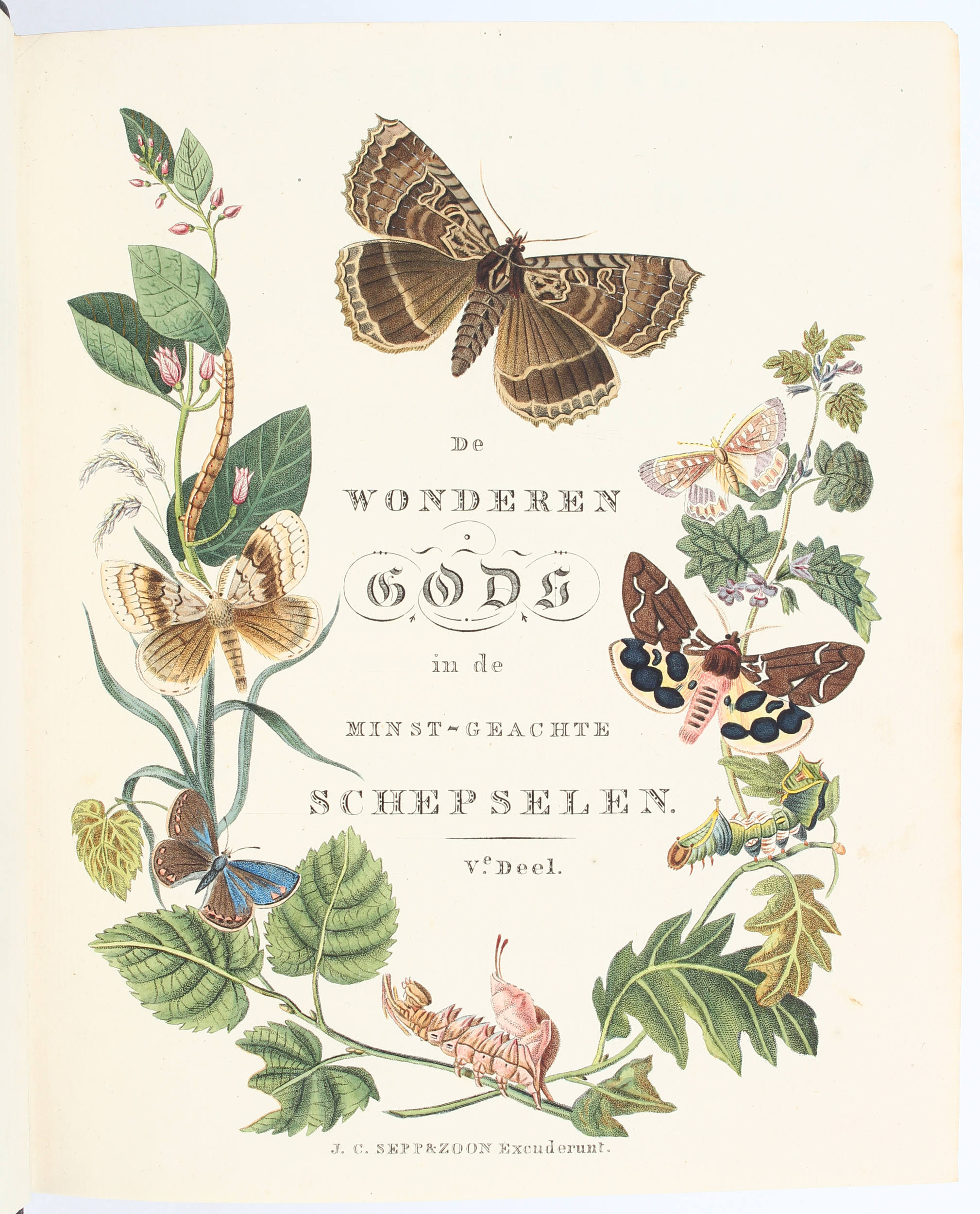 Sepp, Nederlandsche Insecten. 18 Bde.