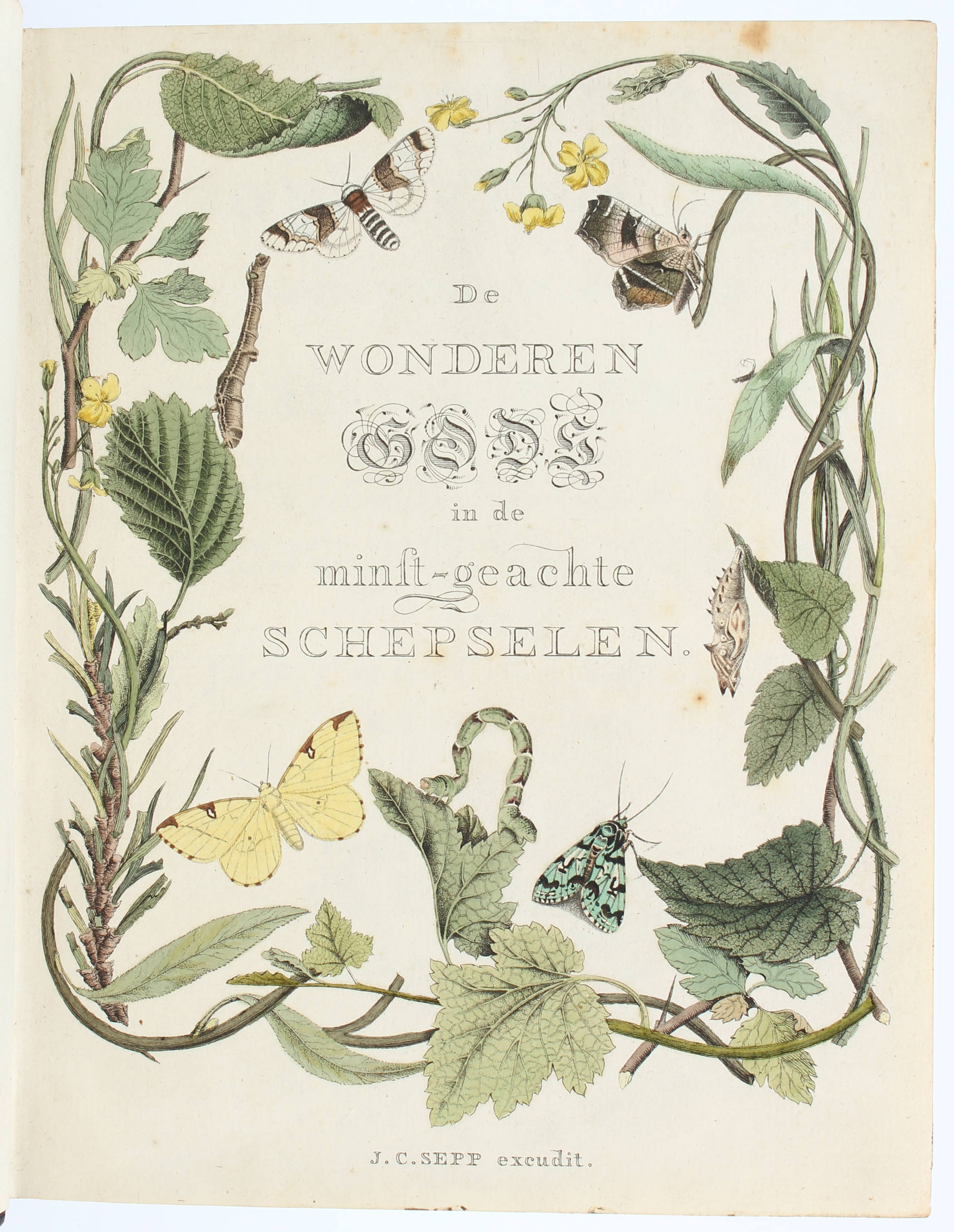 Sepp, Nederlandsche Insecten. 18 Bde.