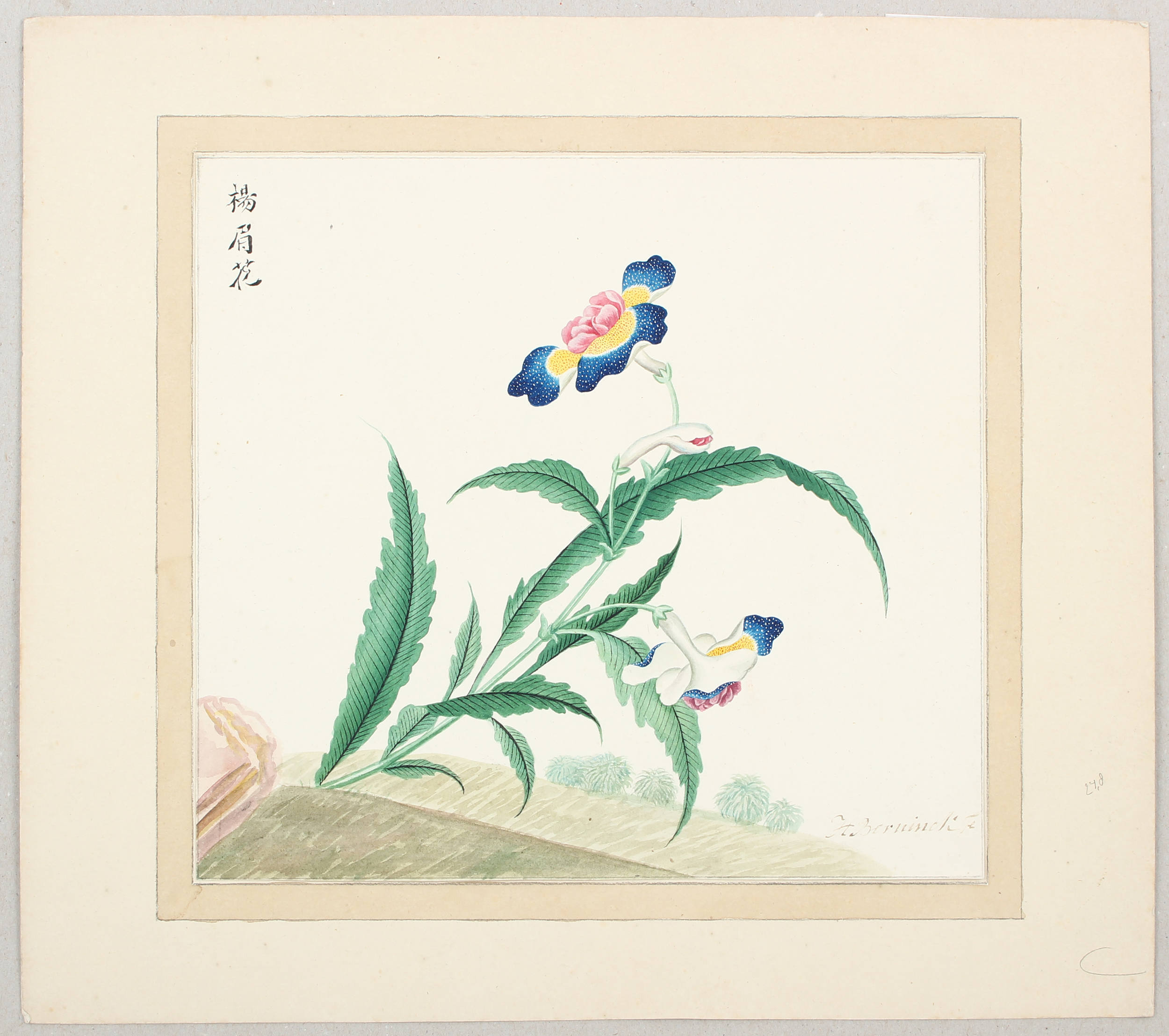 Berninck, 7 Blumenaquarelle