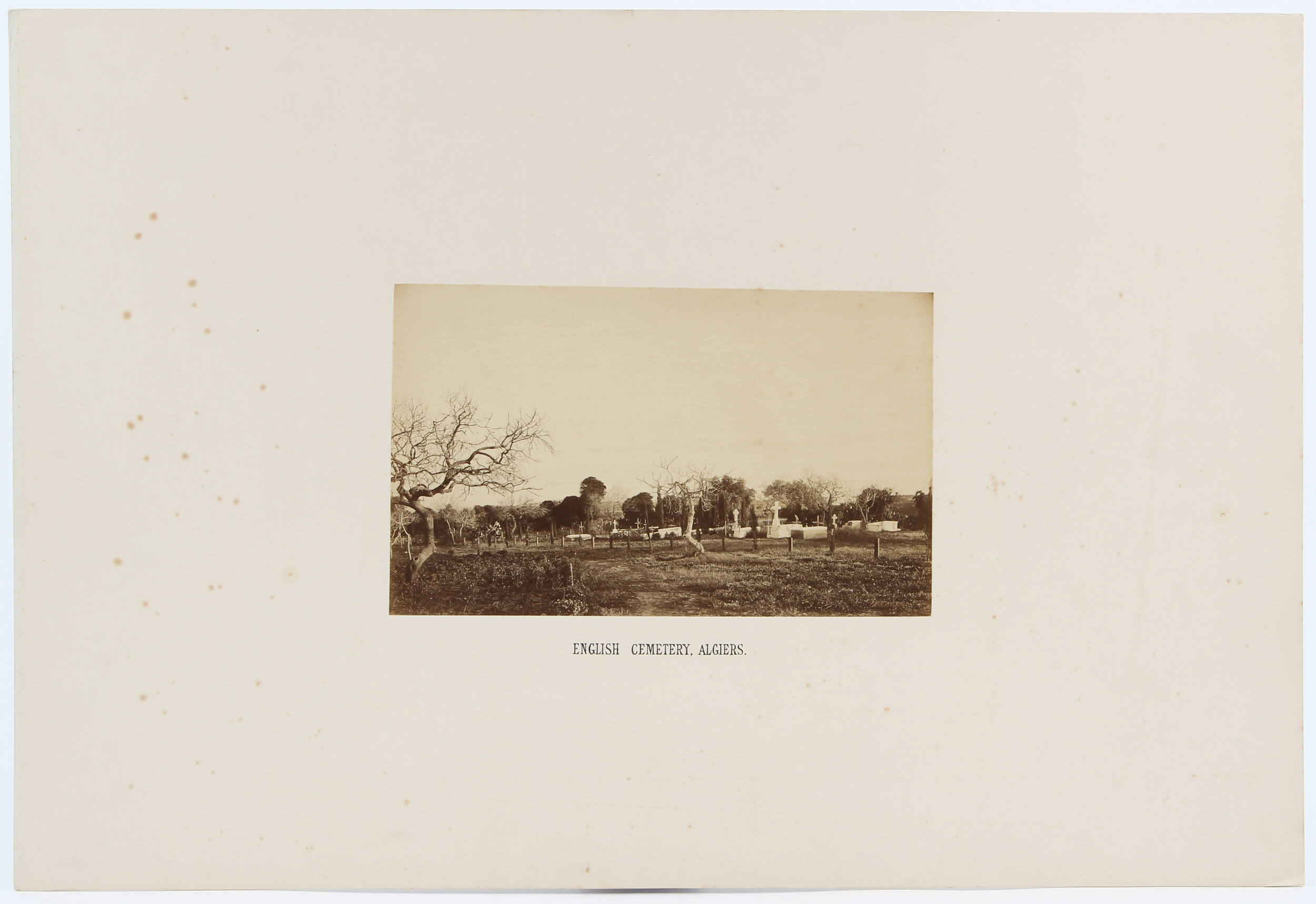 Algier und Tunis. 13 Fotografien