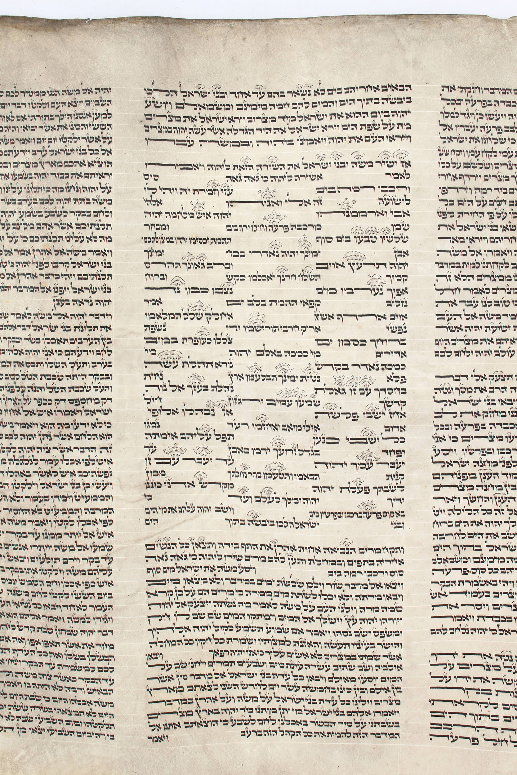 Torahrolle. 18./19. Jh.