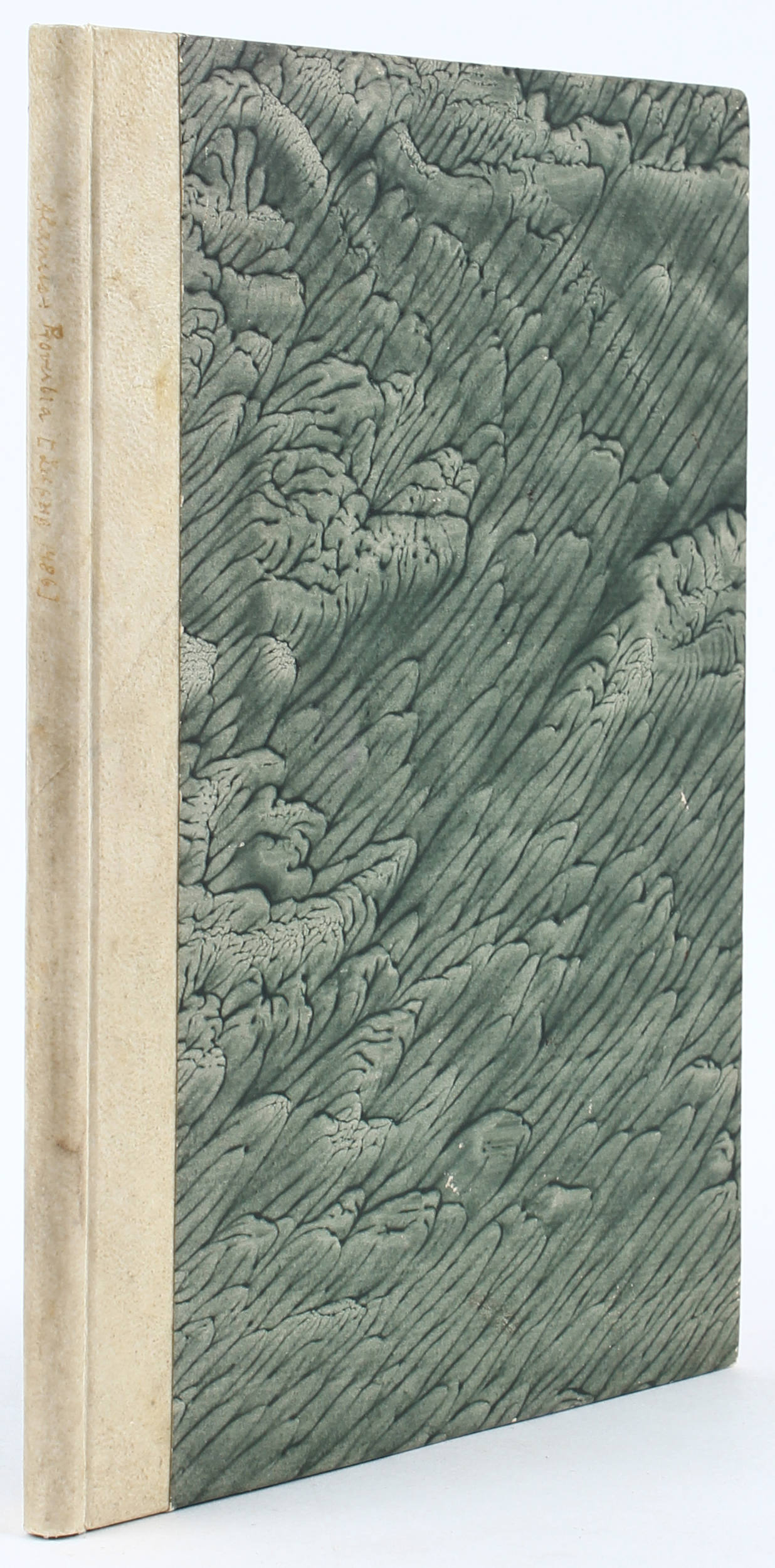 Alanus, (Doctrinale)